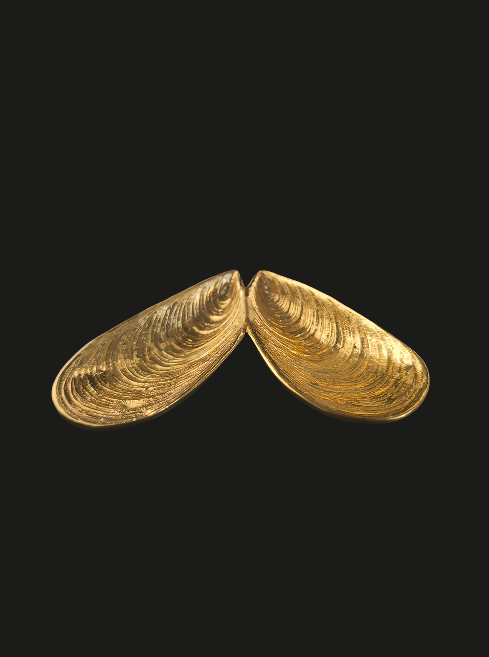 les-objoies-double-mussels-vide-poche-2.webp