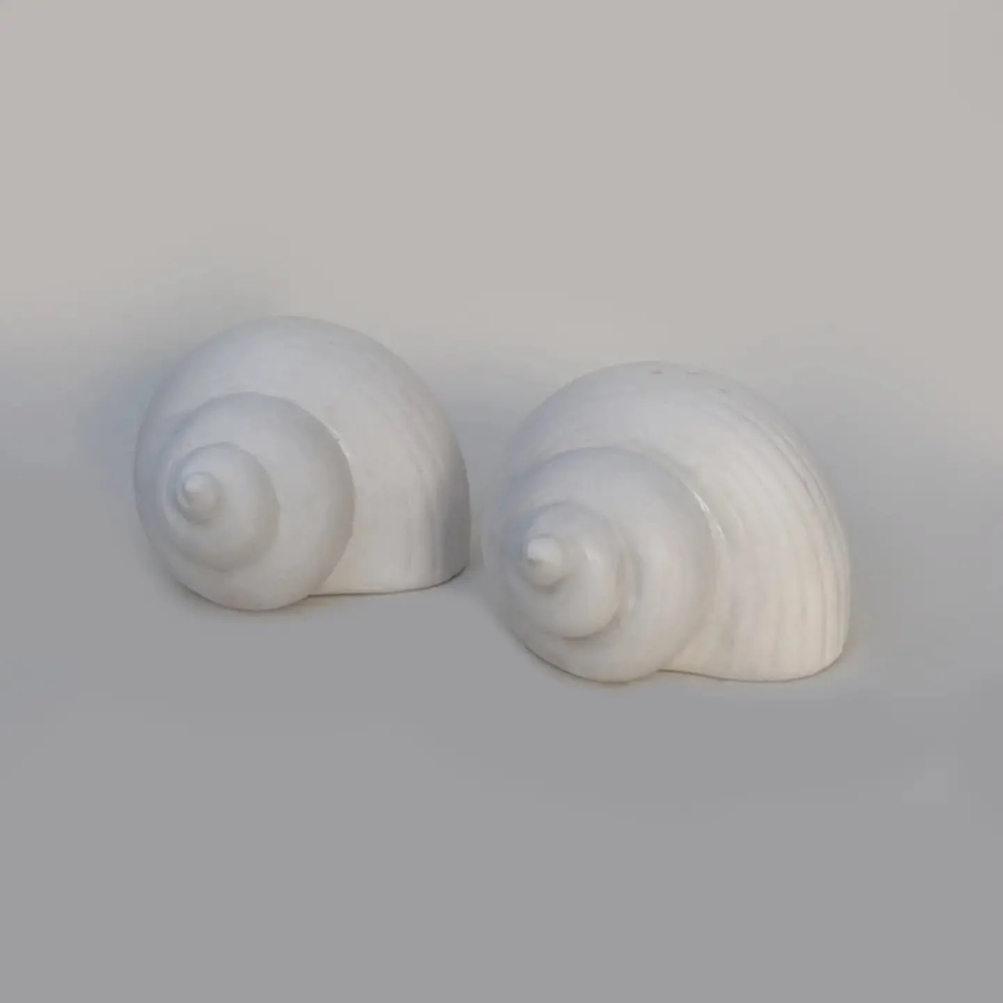 Shell pieces inspired by some art I love:
Georgia O'Keefe

Jean Valette-Penot

Gertrude Abercrombie

Mary Herbert @maryanneherb

Mary Herbert
