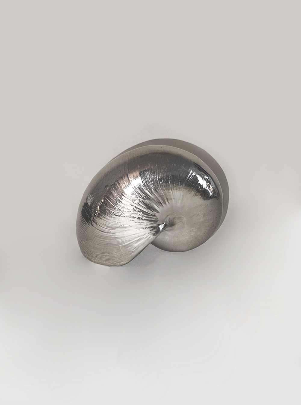 les-objoies-nautilus-shell-sculpture-2.webp