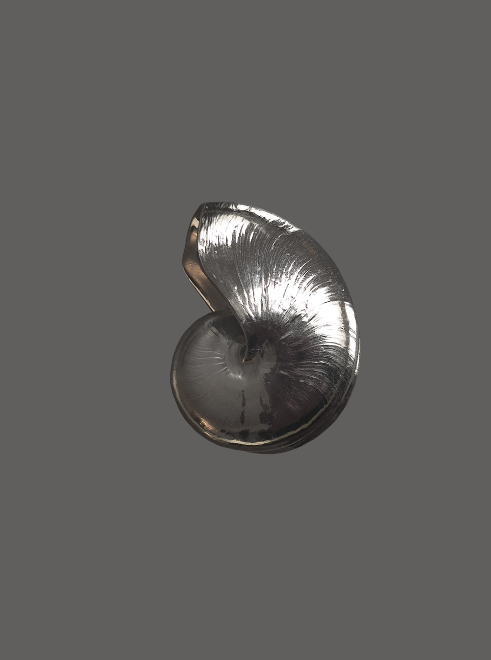les-objoies-nautilus-shell-sculpture-3.webp