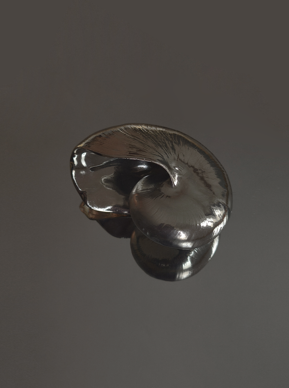 les-objoies-nautilus-shell-sculpture.webp