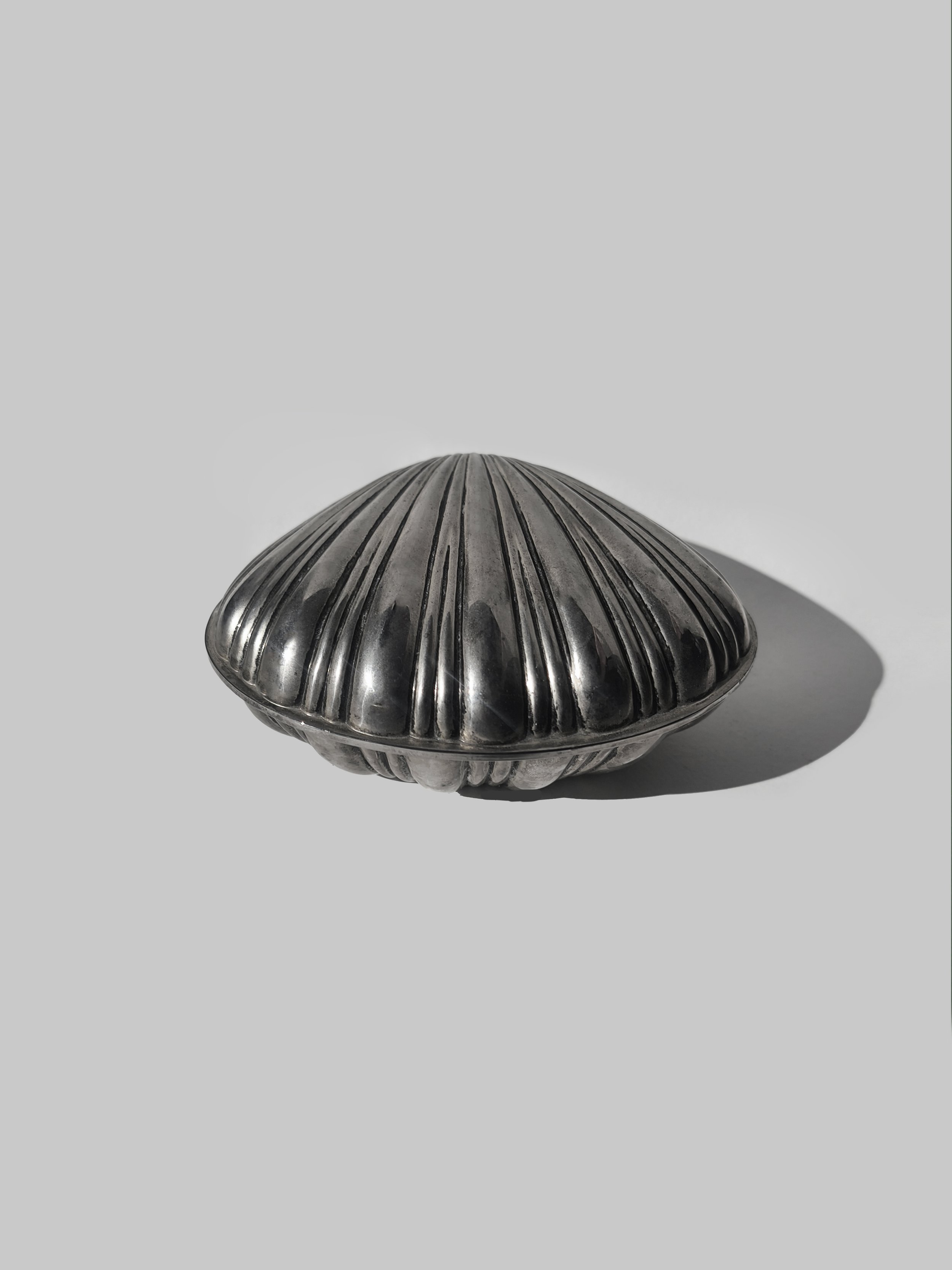 Large Shell Box