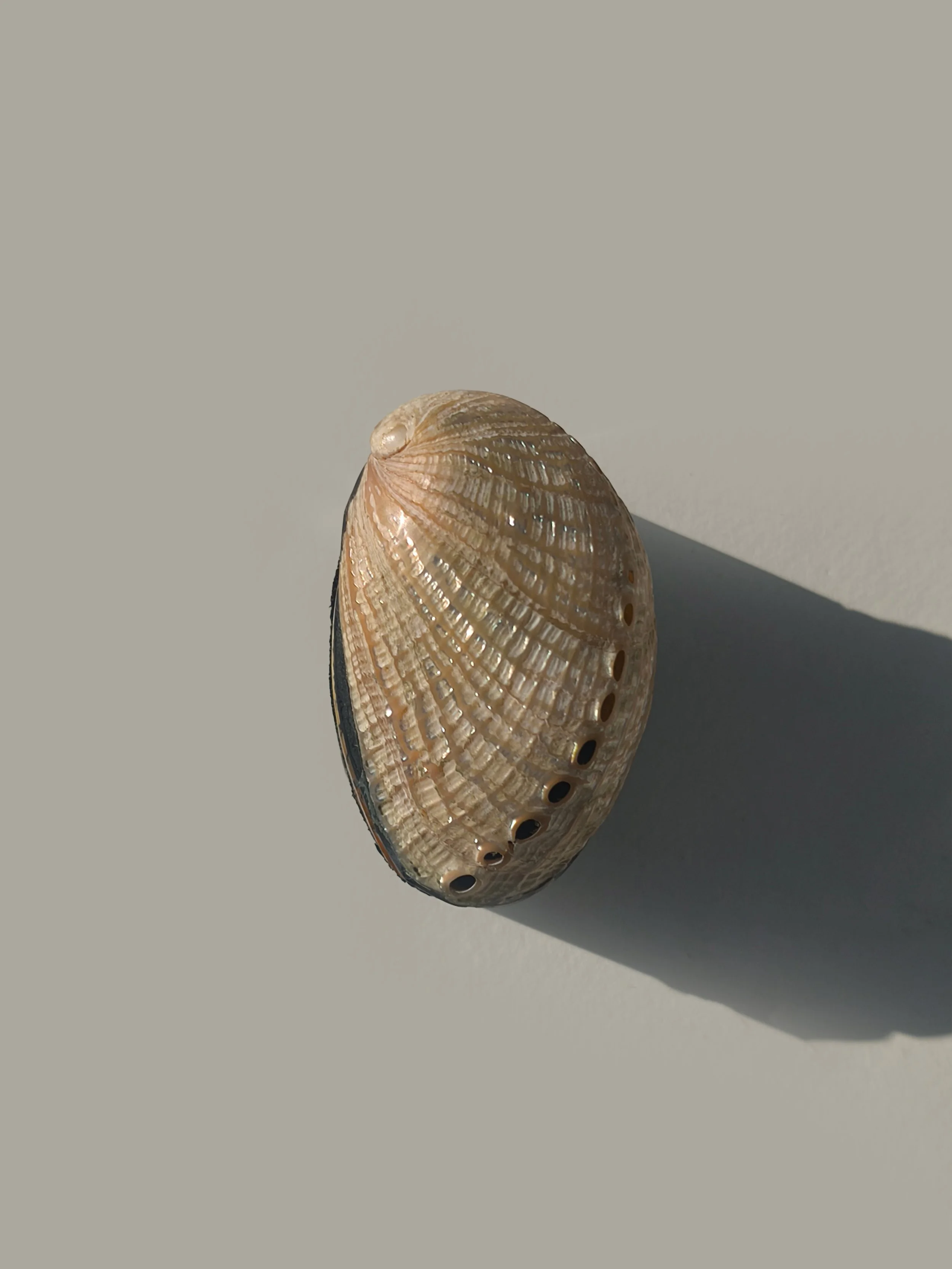les-objoies-nacre-shell-box-1.jpg