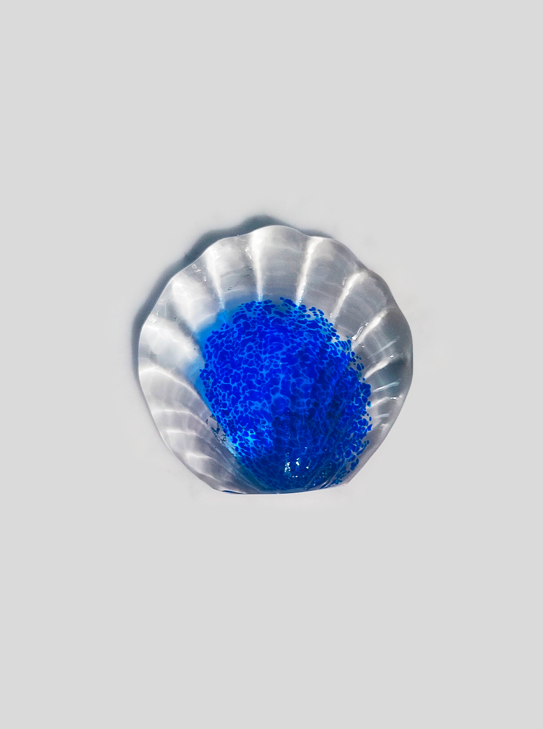Shell Glass Paperweight