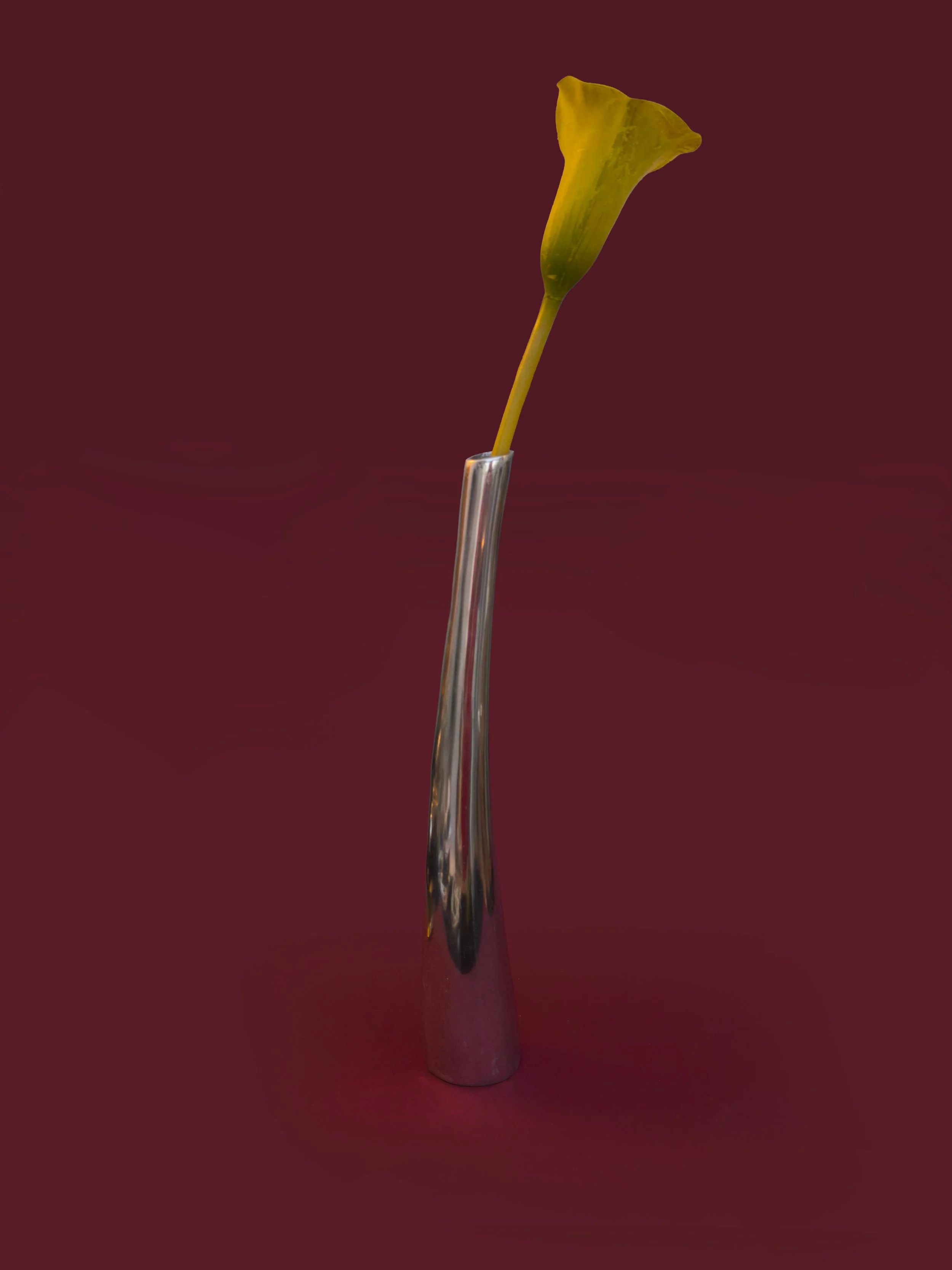 les-objoies-abrass-long-soliflore.jpg