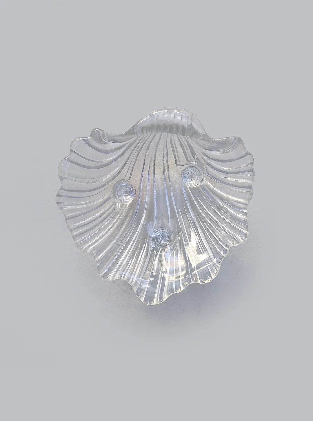 Shell Glass Box Vide Poche