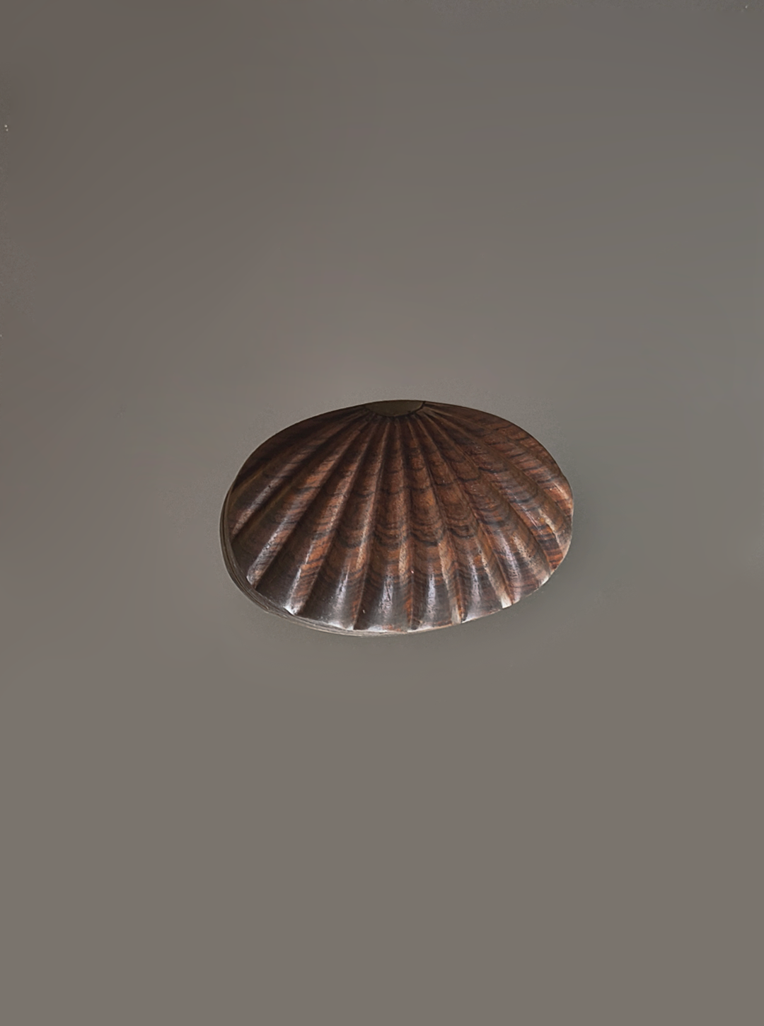 les-objoies-wood-box-shell-2.png