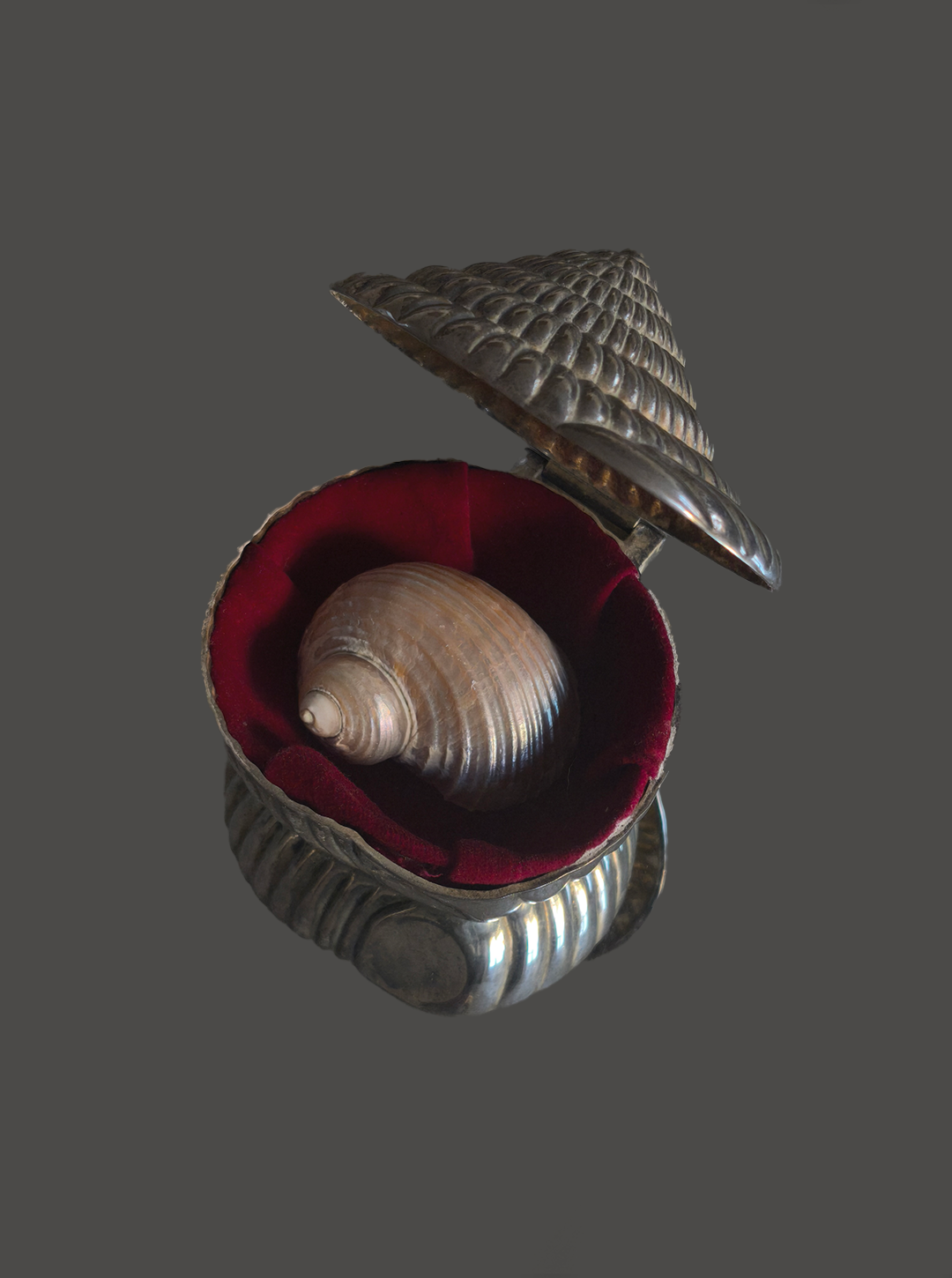 les-objoies-shell-box-silver.png