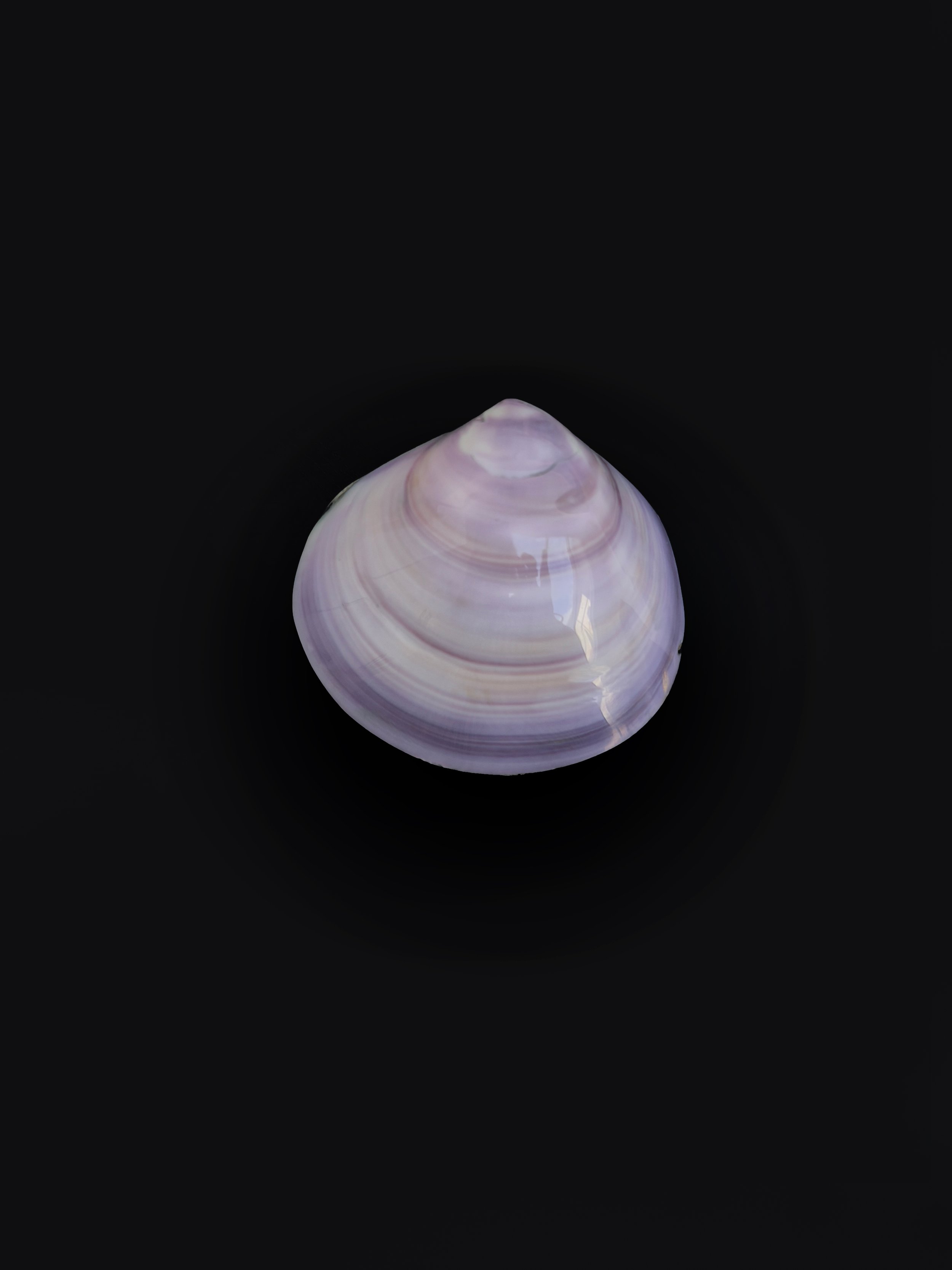 les-objoies-small-purple-shell-box-1.jpg