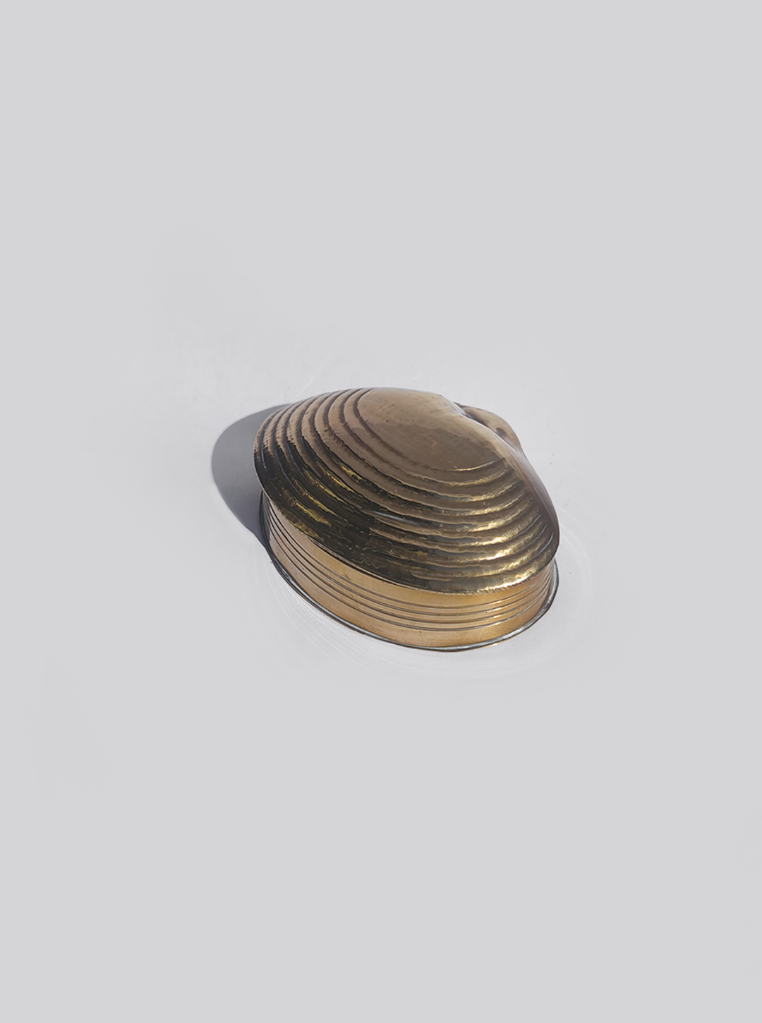 Shell Brass Box
