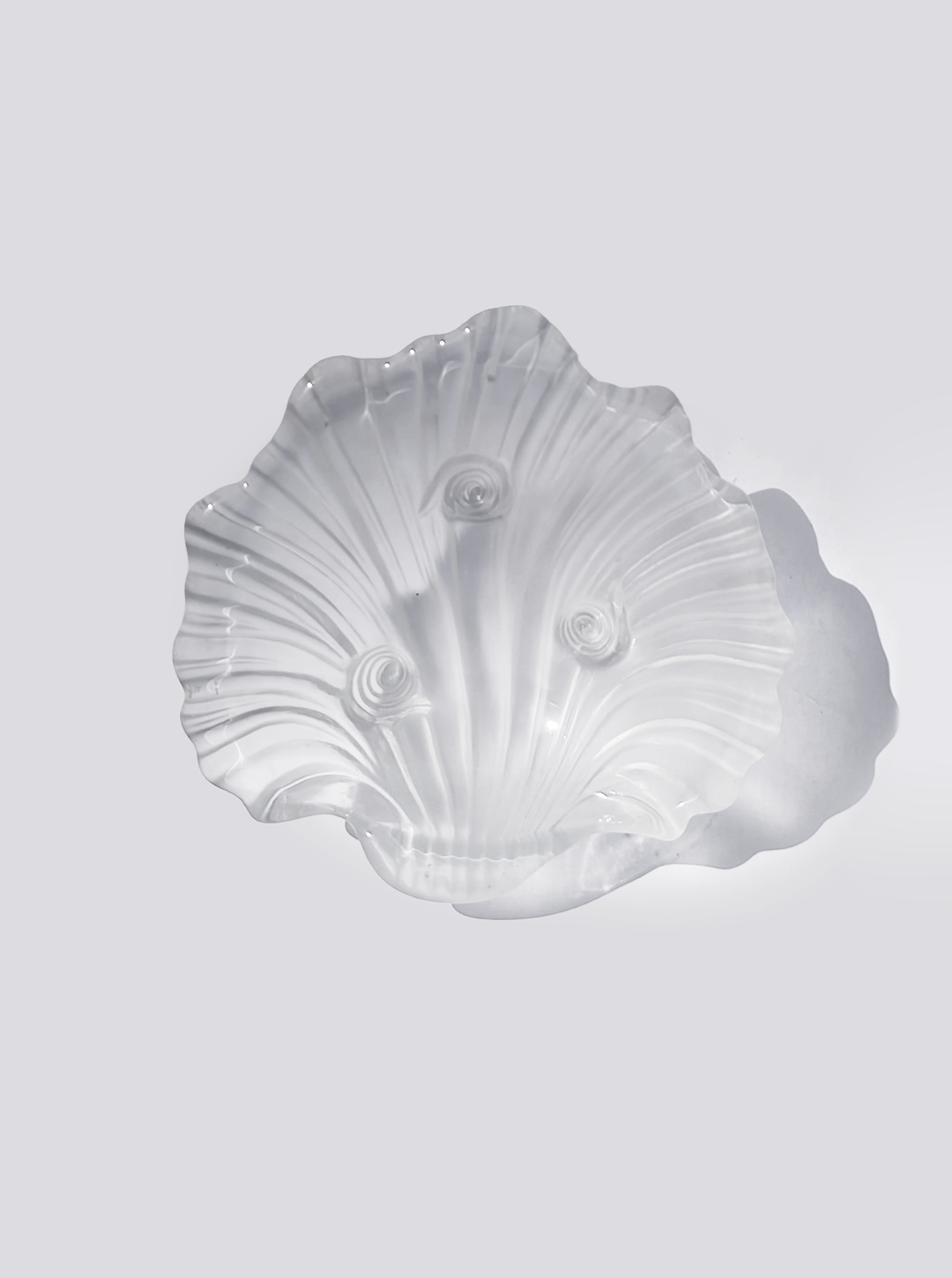 Shell Glass Box Vide Poche
