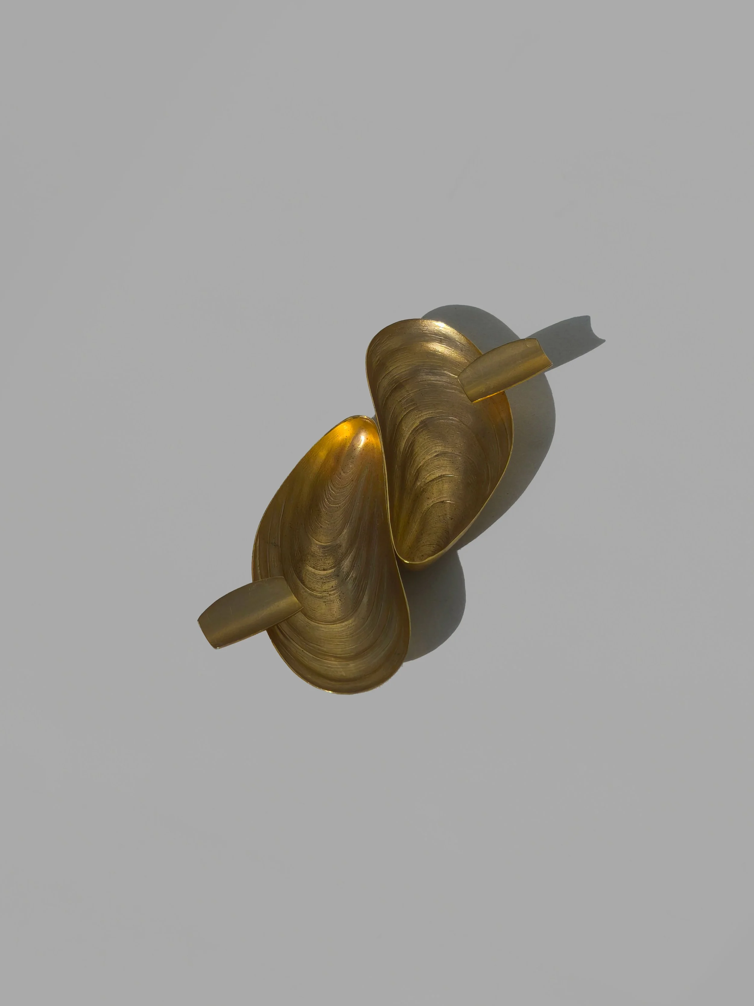 Mussel Ahstray