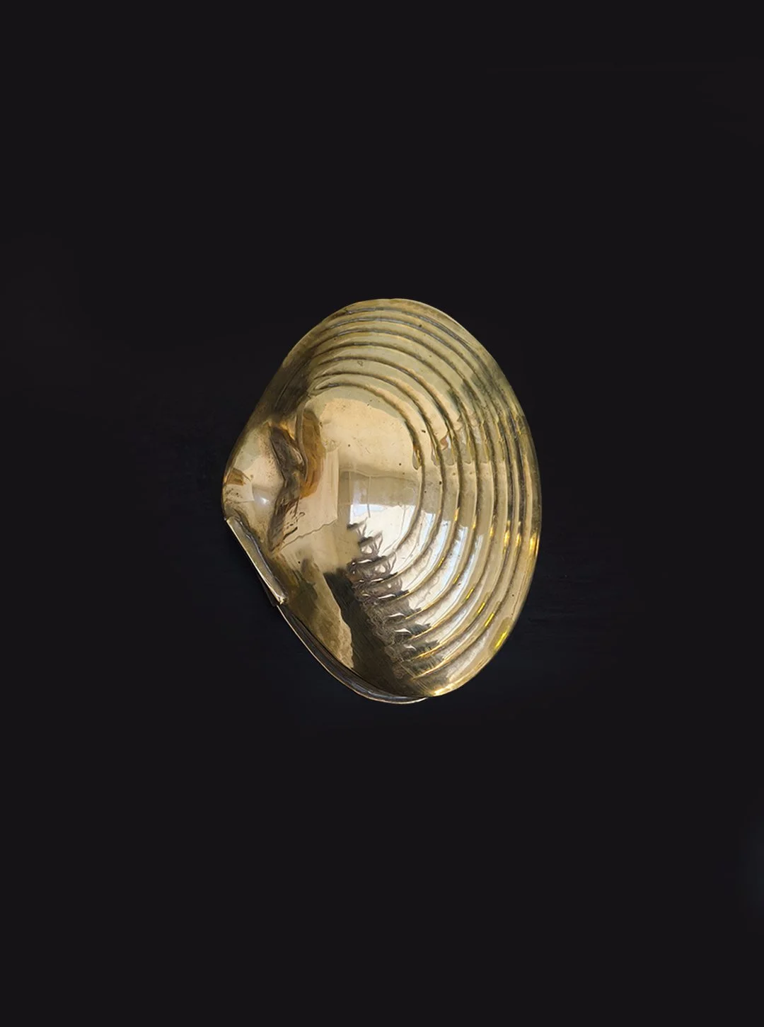 les-objoies-shell-brass-jewel-box-2.jpg