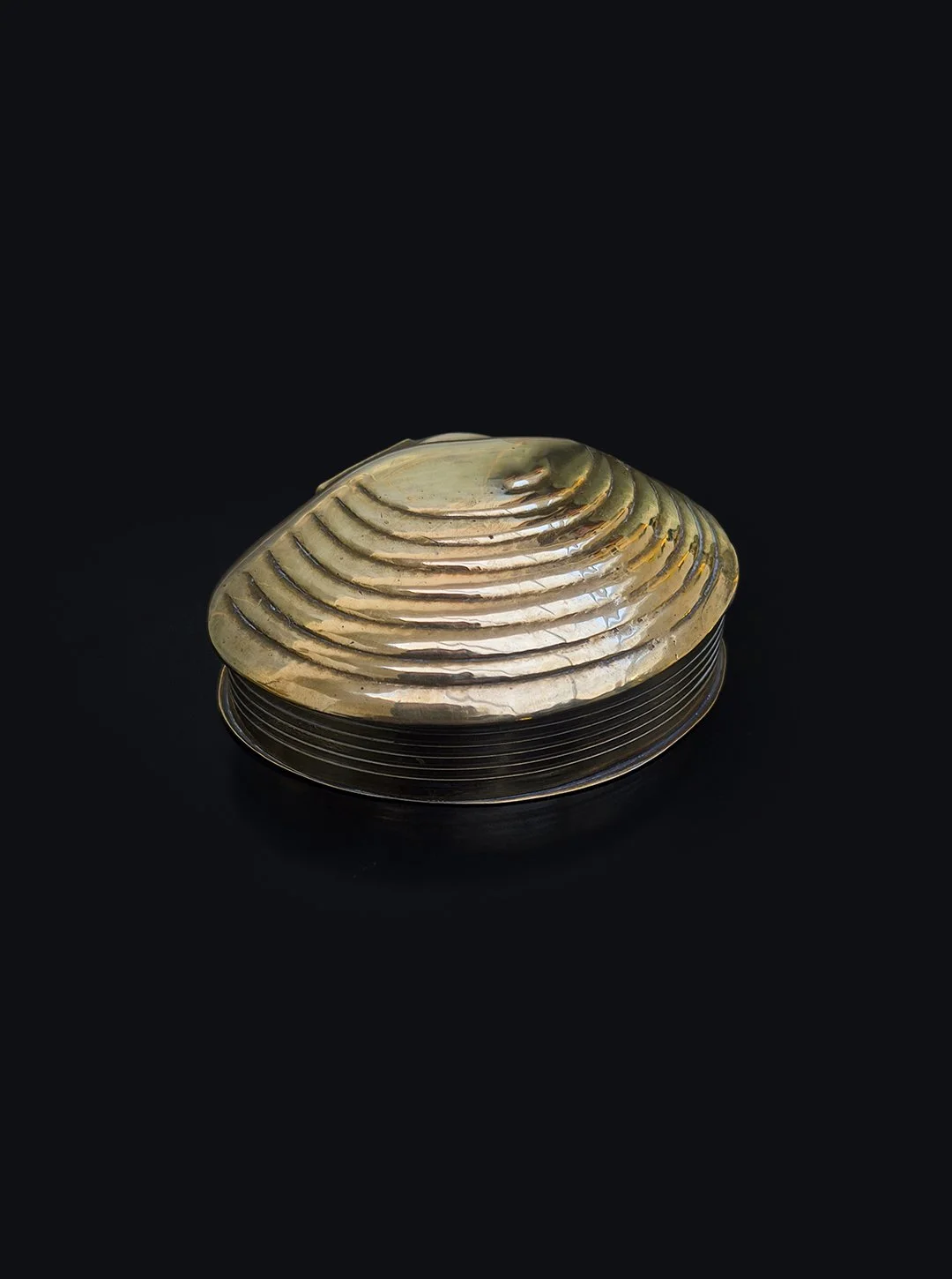 Shell Brass Box