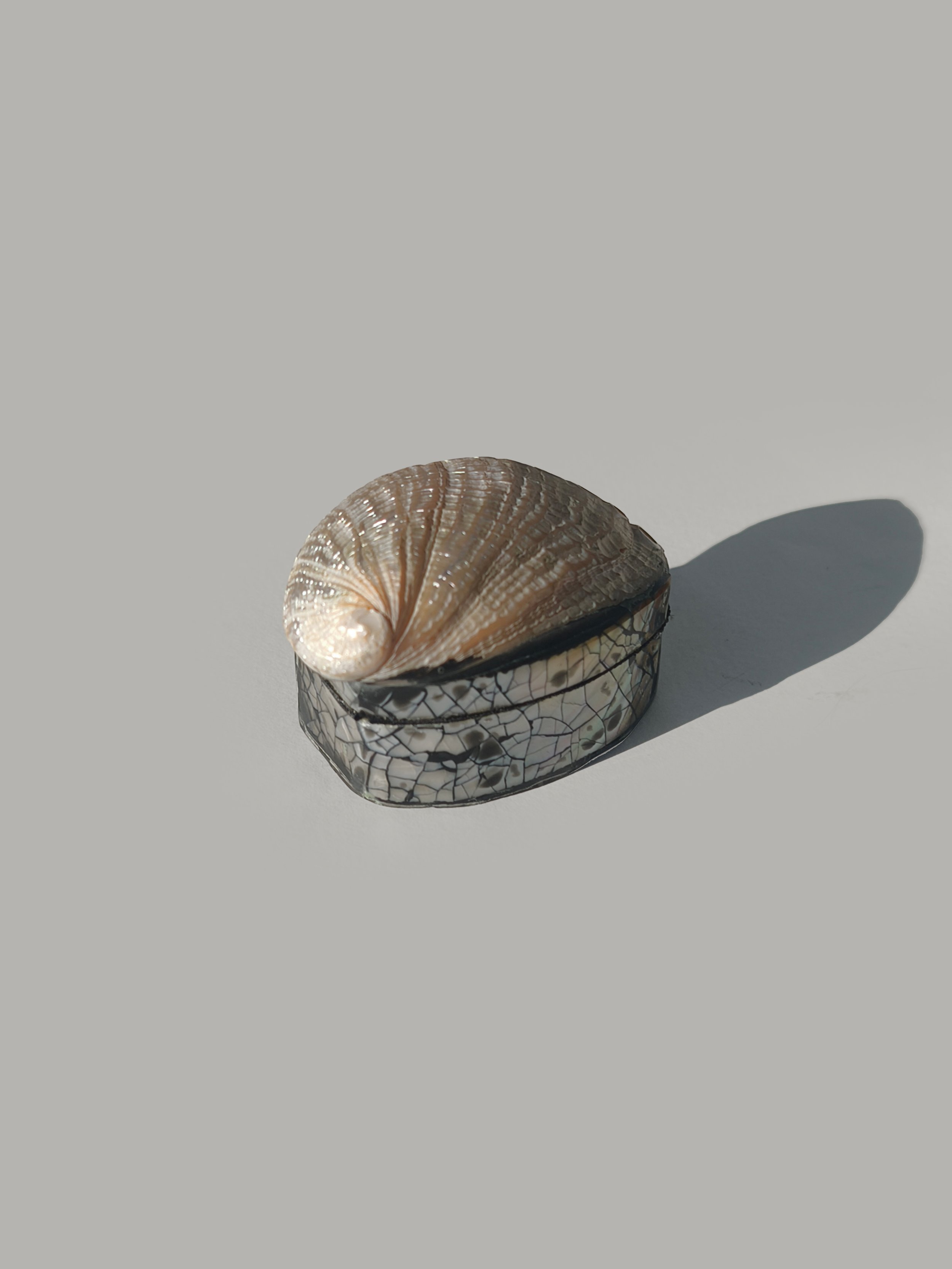 les-objoies-nacre-shell-box-2.jpg