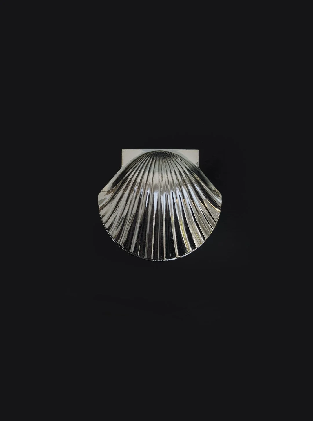 Small Shell box