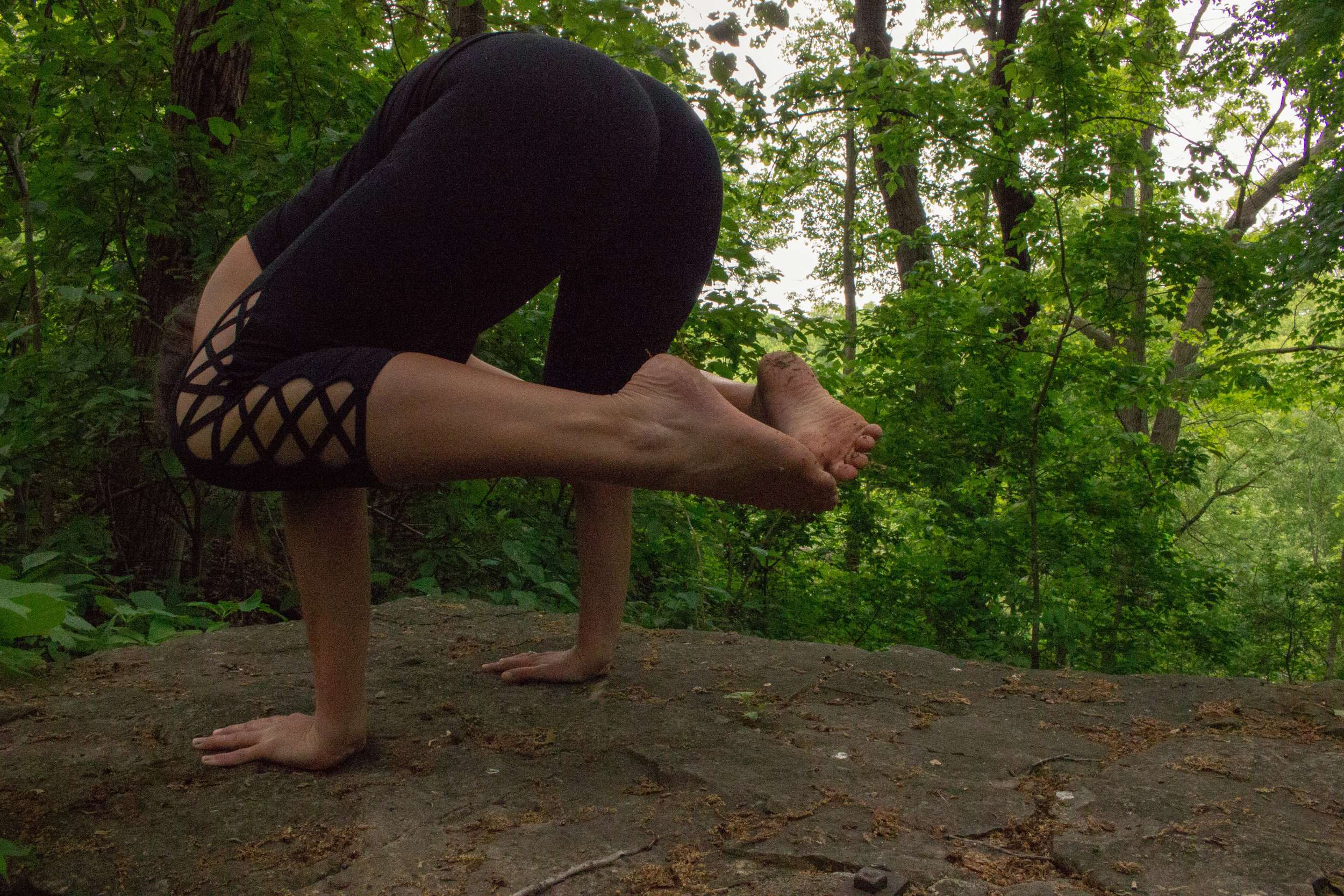 crow pose humboldt park milwaukee wisconsin