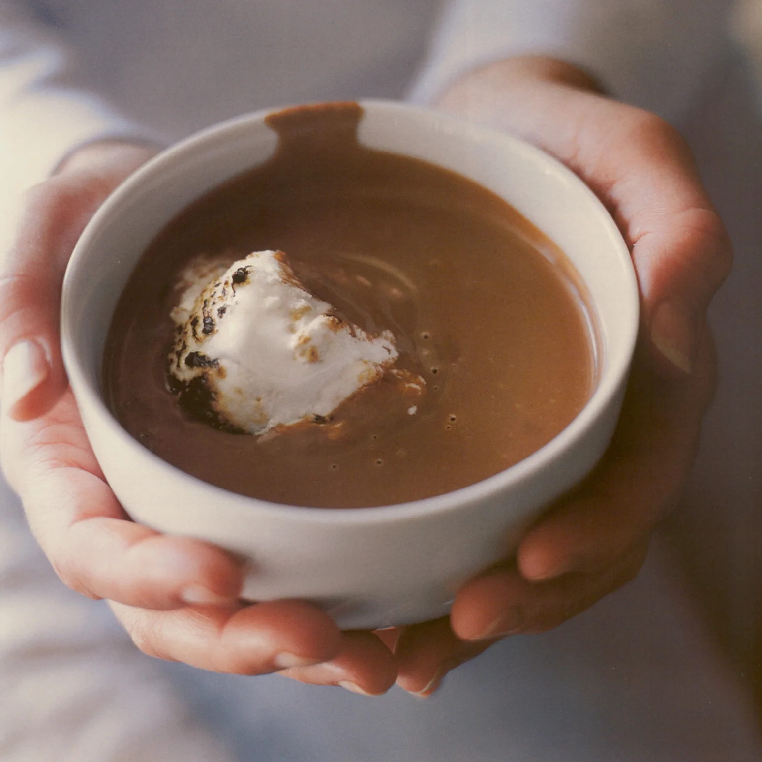 Hot and Creamy Cocoa with Gooey Toasted Marshmallows.jpg