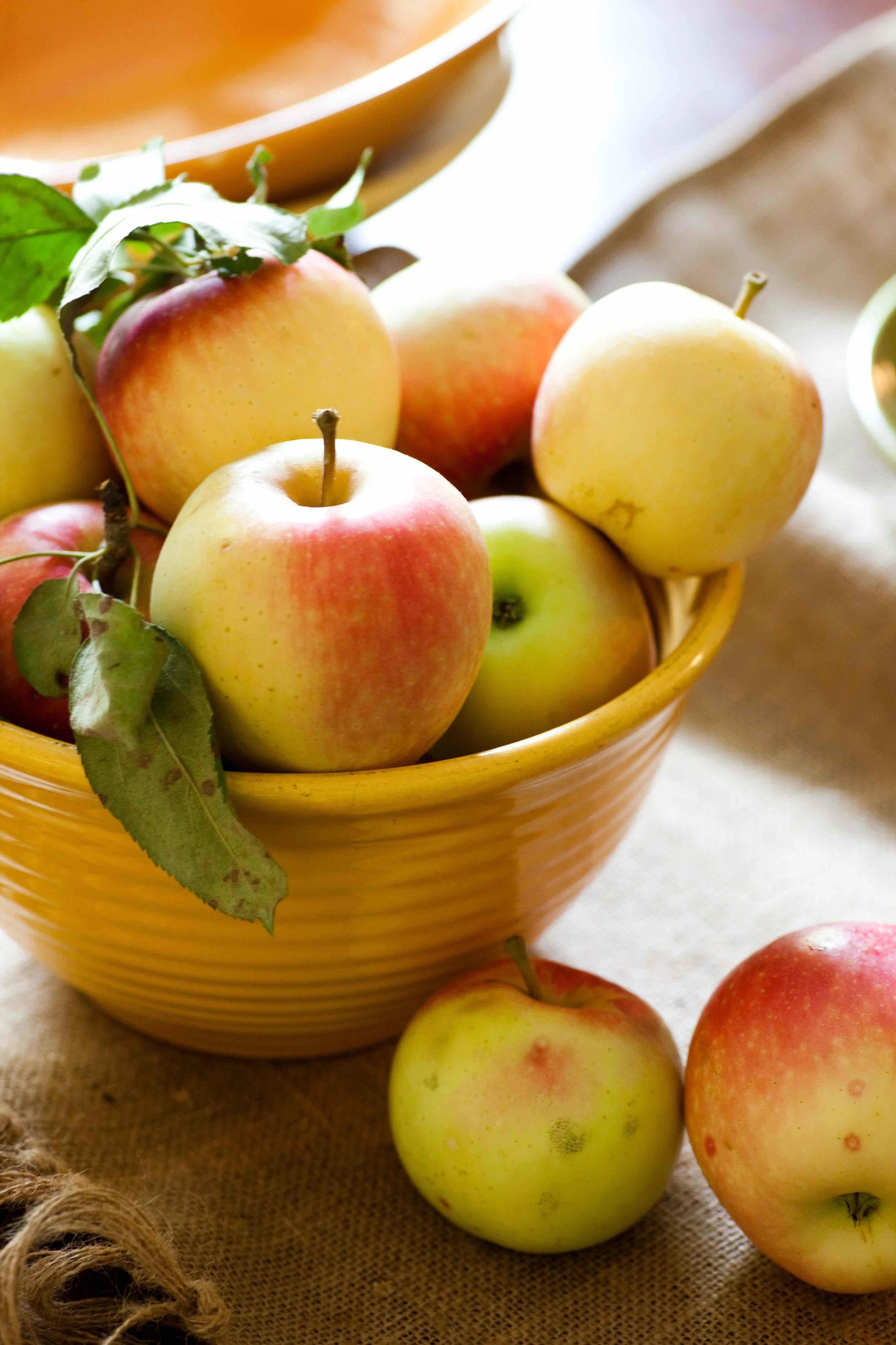 fall apples-sara_shoot3_0339 copy.jpg