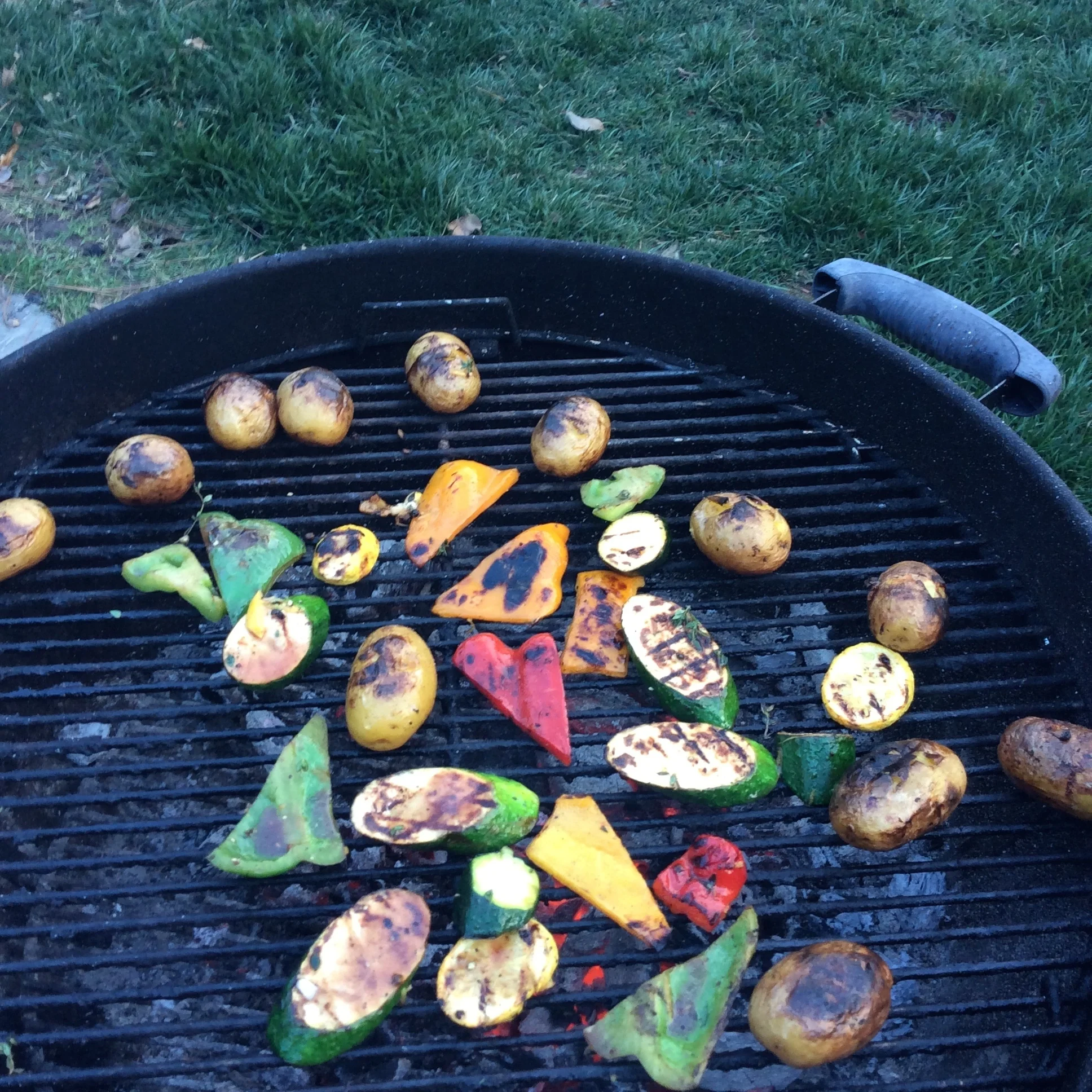 grilled veggies.jpg