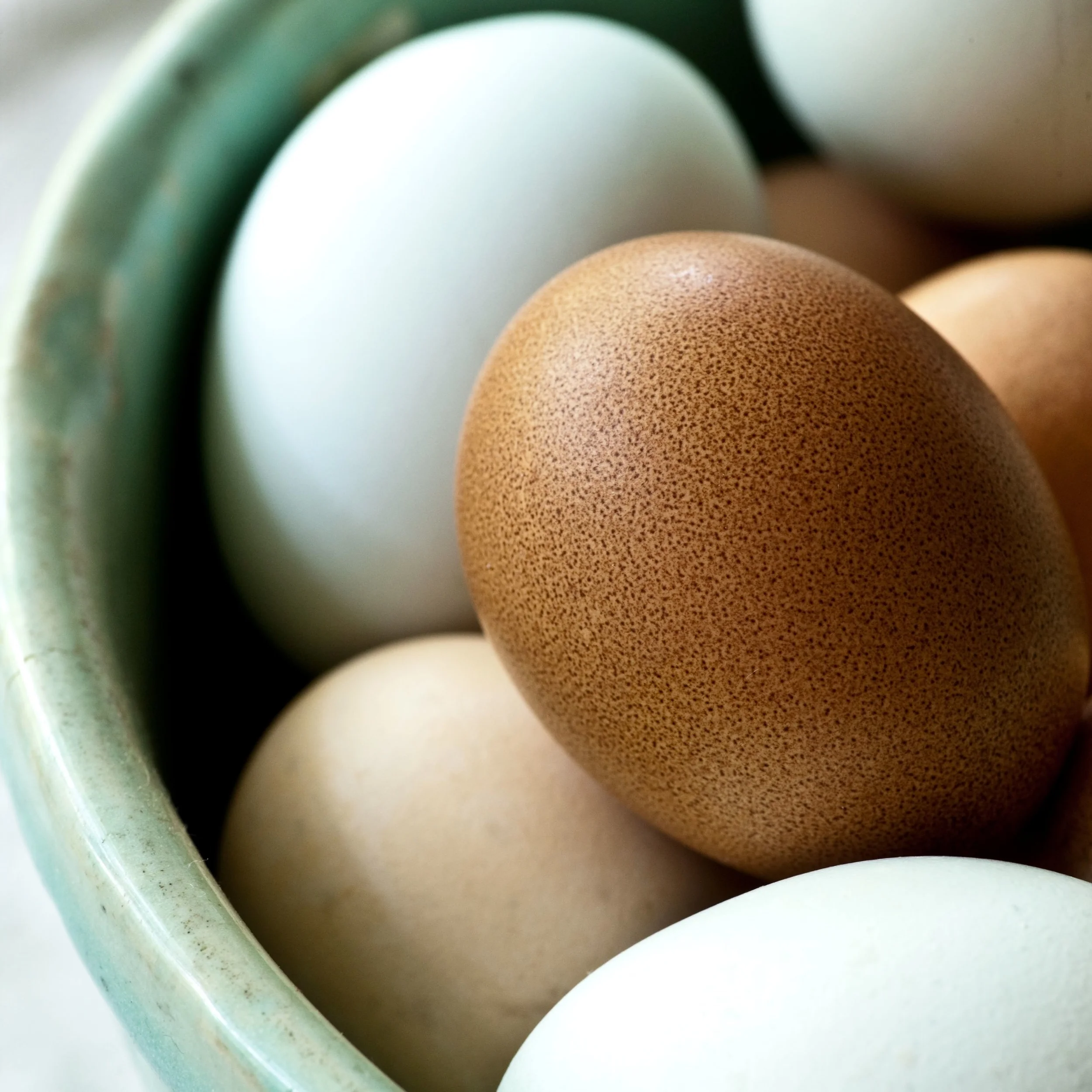 eggs from the farmer's market-sara_shoot2_0144 copy.jpg