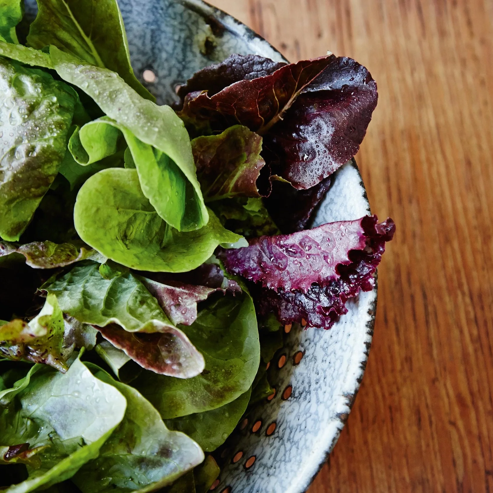 Salad Greens.jpg