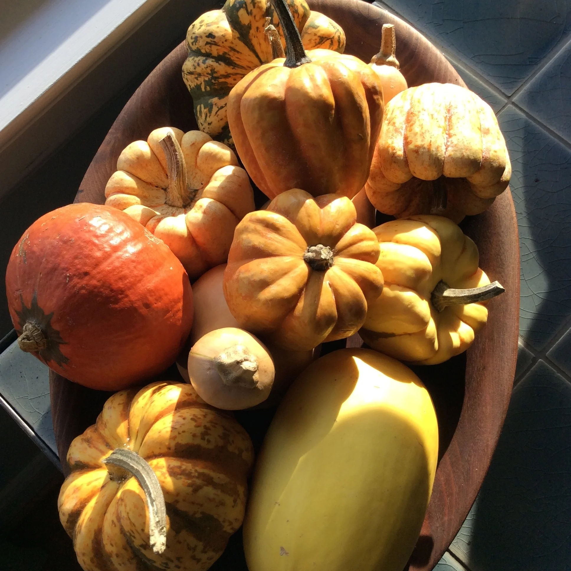 squash.jpg