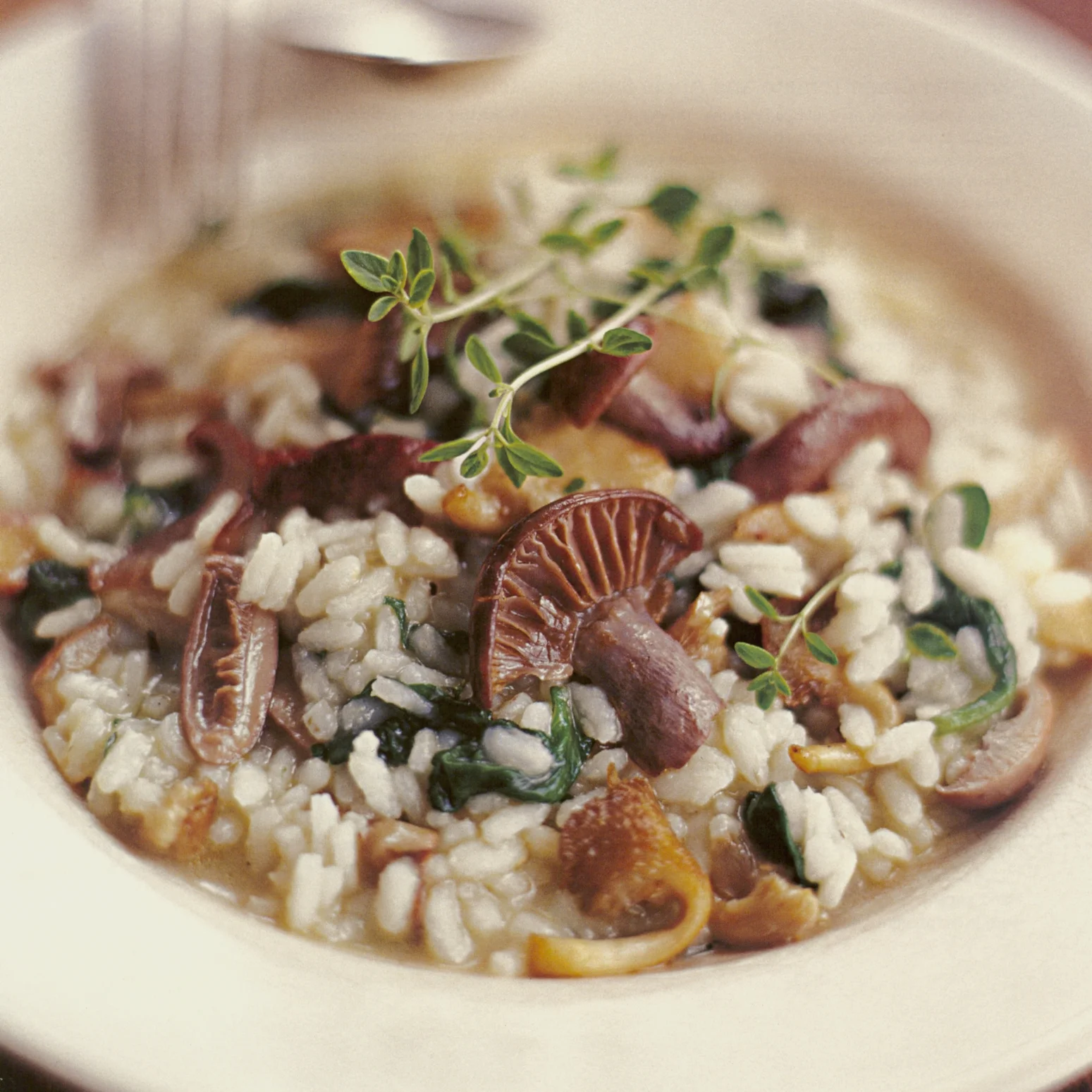 Wild Mushroom and Spinach Risotto.jpg
