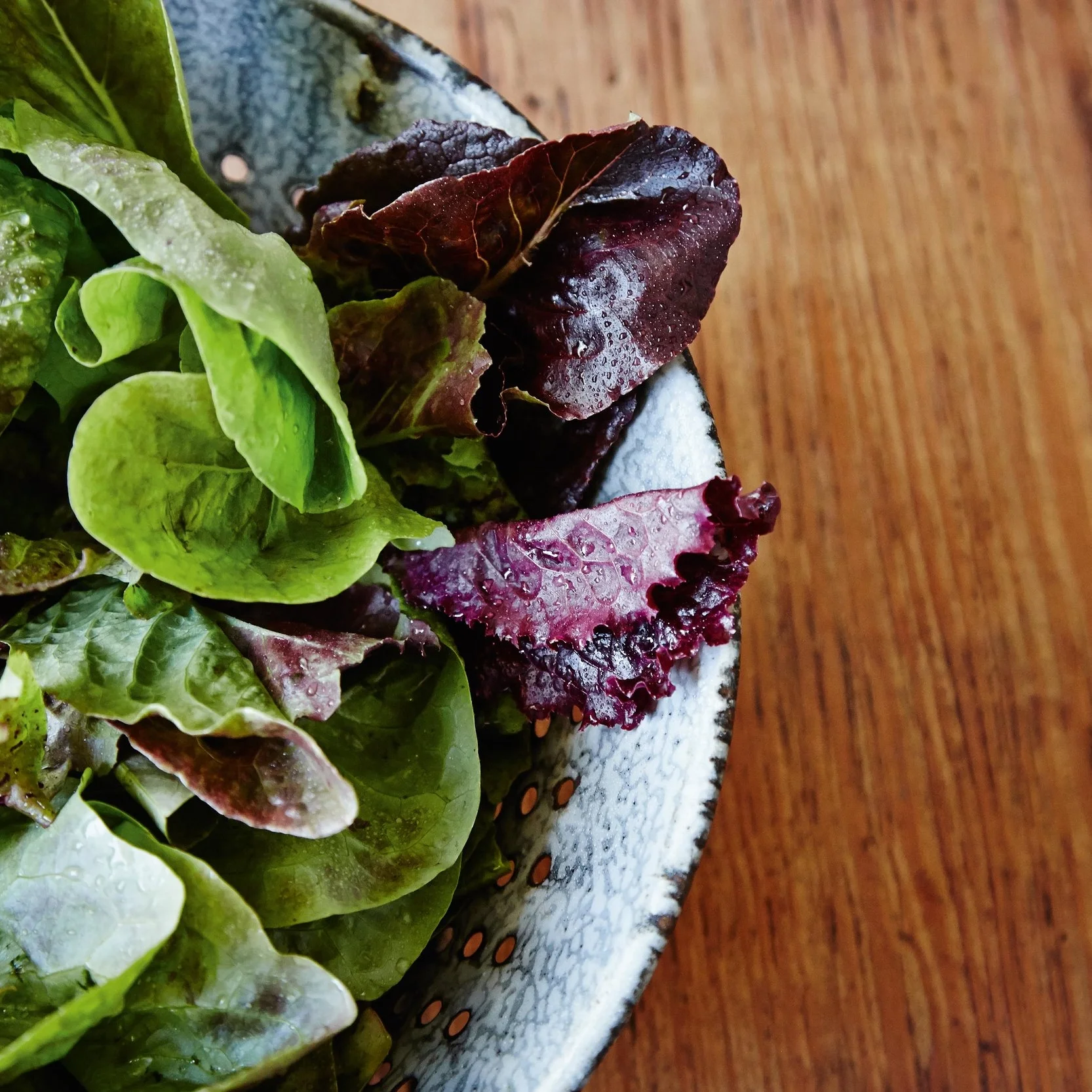 Salad Greens.jpg