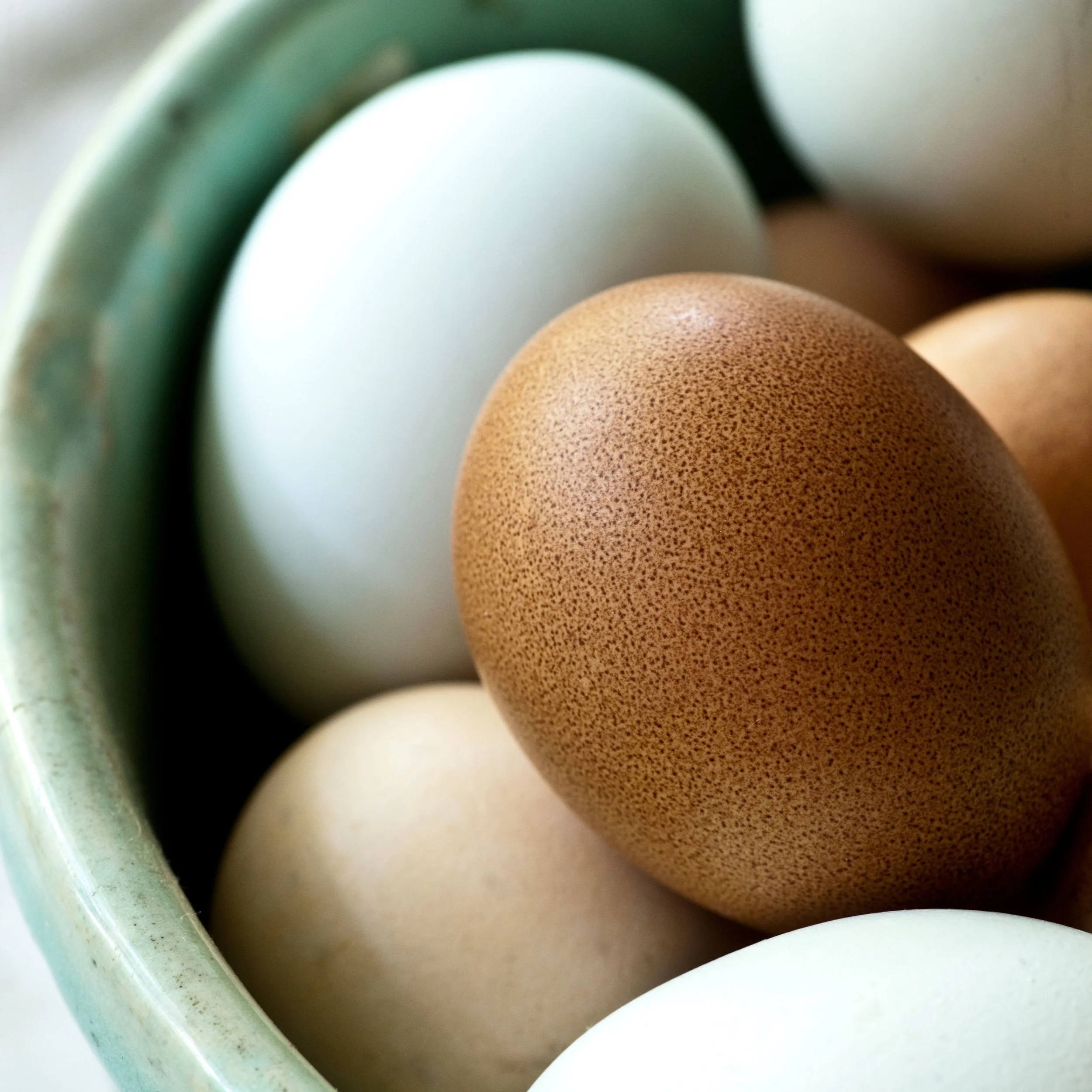 eggs from the farmer's market-sara_shoot2_0144 copy.jpg