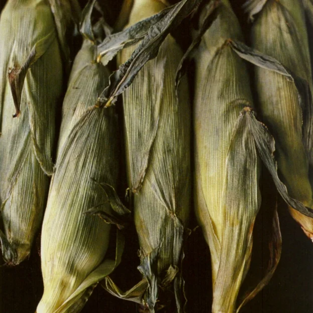 Corn on the Cob Your Way.jpg