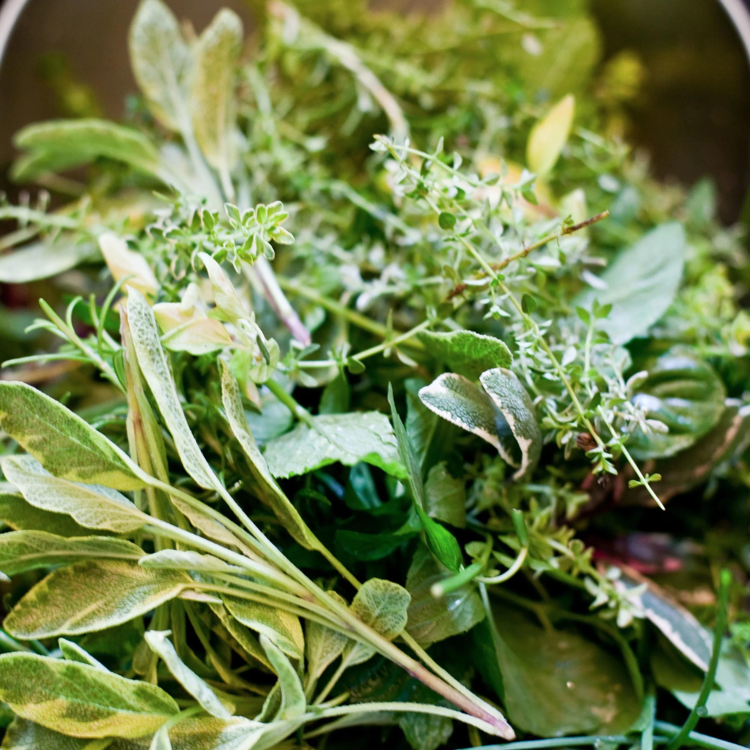 herbs-.jpg