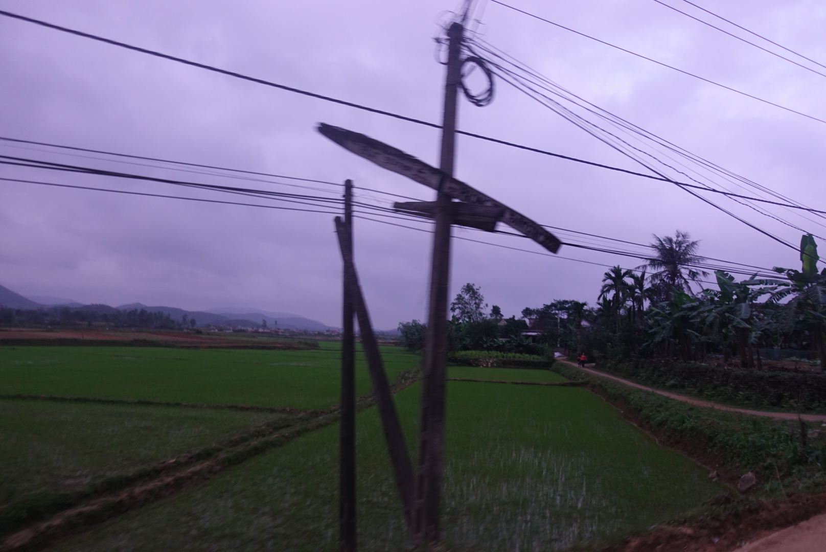LRG_DSC00808.jpeg