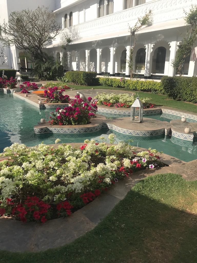 IMG_3948.jpg
