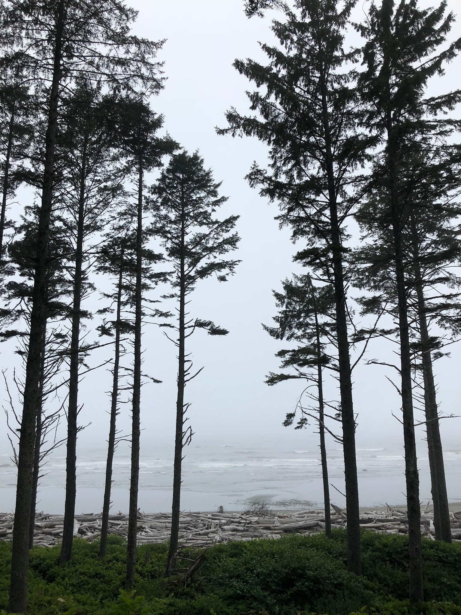 IMG_0694.jpeg