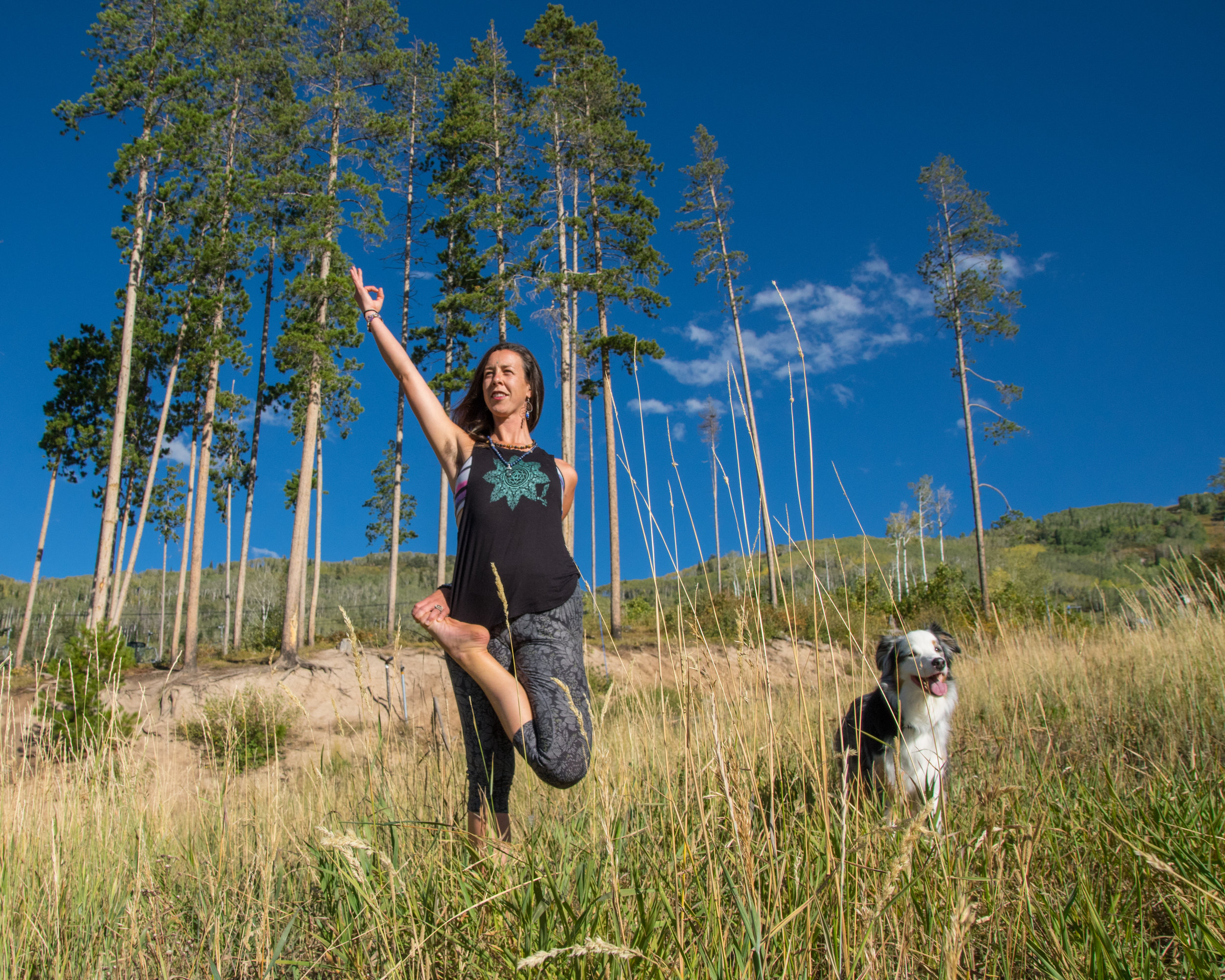 My lineage of teachers ranges widely from technical, to mechanical, to just plain silly at a festival, and my life goal is to be a student. “If you listen, they will teach you.” I am proud to call the trees, my sweat, a book in your library, and everything in between my instructor.