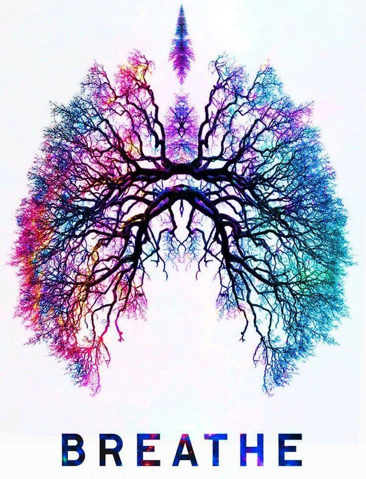 breathe tree.jpg