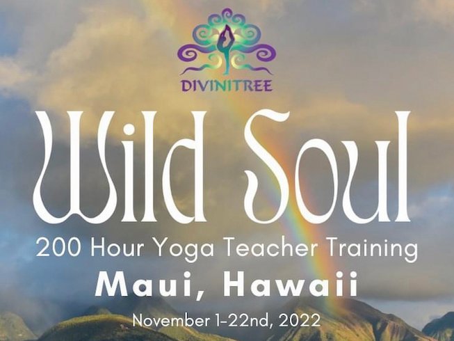 Train in Maui with DiviniTree and Improbable Reality!