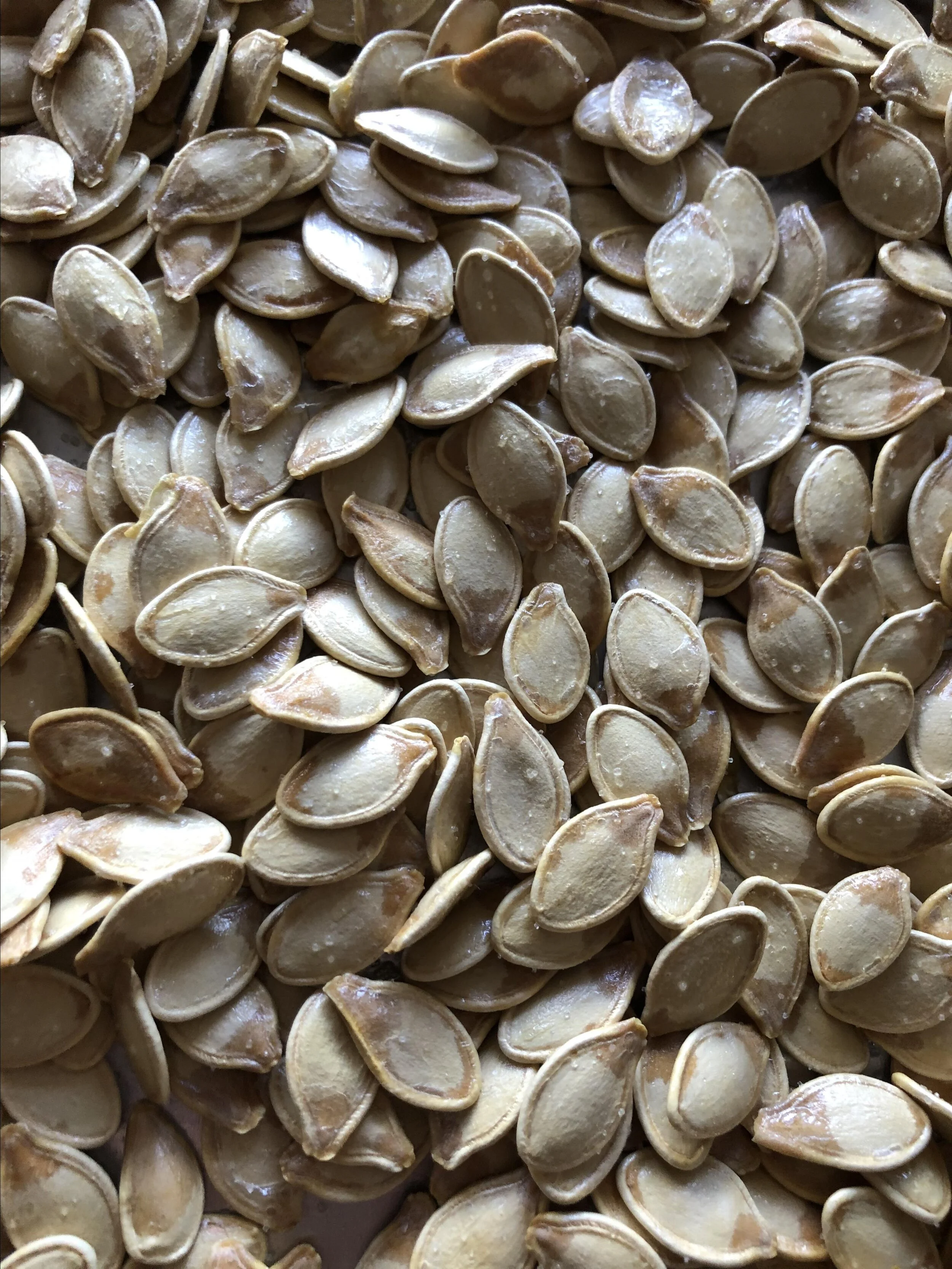 Pumpkin seeds dry roasted and unsalted 1.82kg