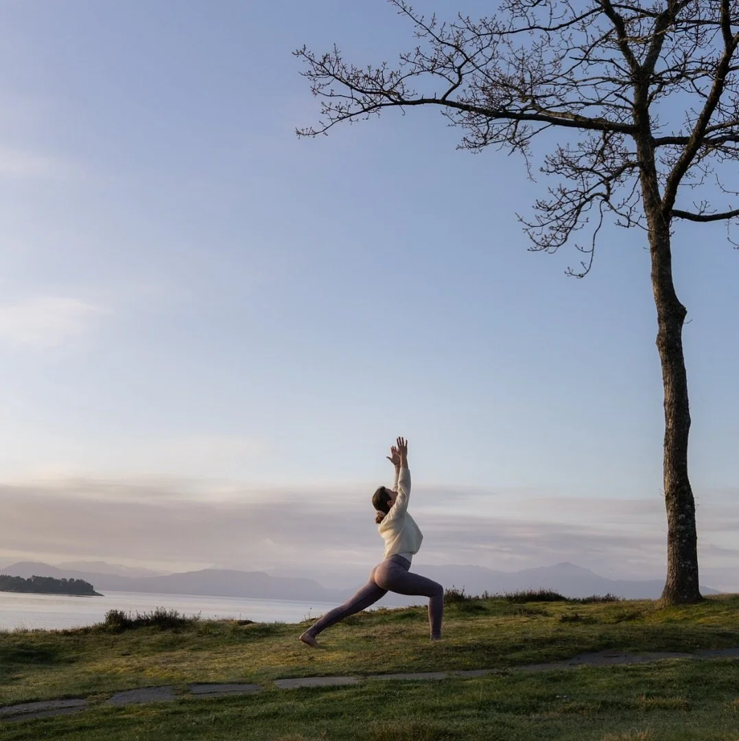 Utdrag fra den ukentlige e-posten Fredags Frihet: 

&laquo;Ingrediensene i en yogastilling

N&aring;r vi praktiserer yoga har vi her i vesten st&oslash;rst fokus p&aring; de fysiske stillingene og puste&oslash;velsene. Og det er i seg selv ikke noe g