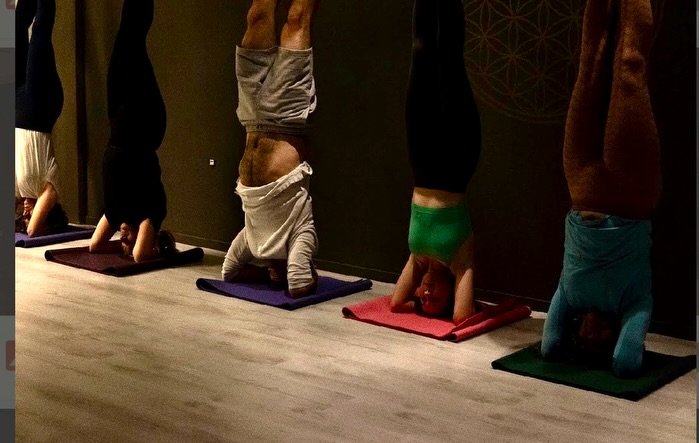 Utdrag av ukas Fredags Frihet:

Et blikk p&aring; Iyengar yoga

Ofte n&aring;r jeg kommer i snakk med nye yogier sp&oslash;r de: &laquo;Hva slags yoga er det du underviser?&raquo; 

Og n&aring;r jeg svarer &laquo;Iyengar yoga&raquo; f&aring;r jeg oft