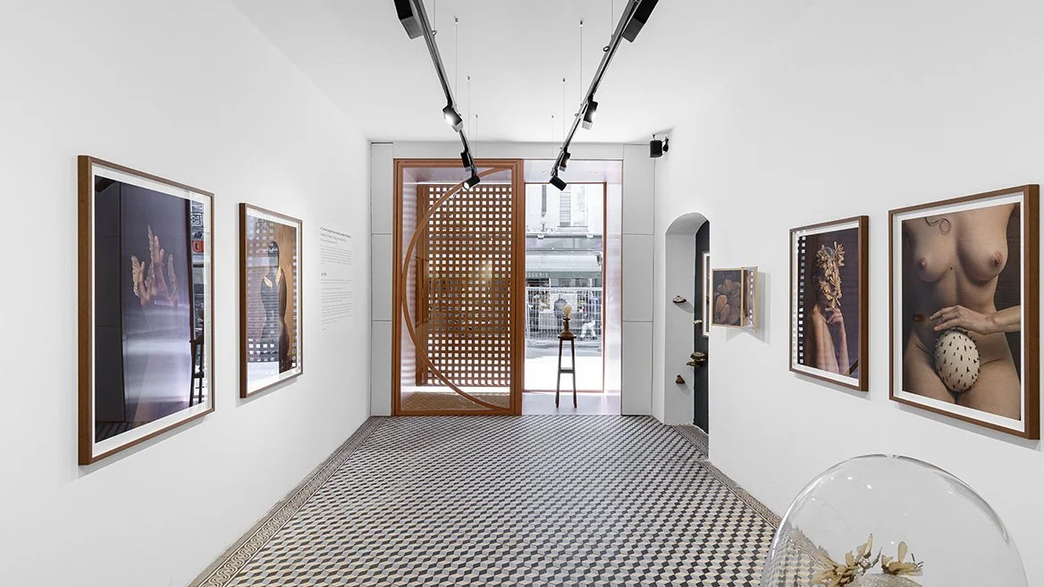 Some interior design delivered in Paris by clement blanchet architecture !