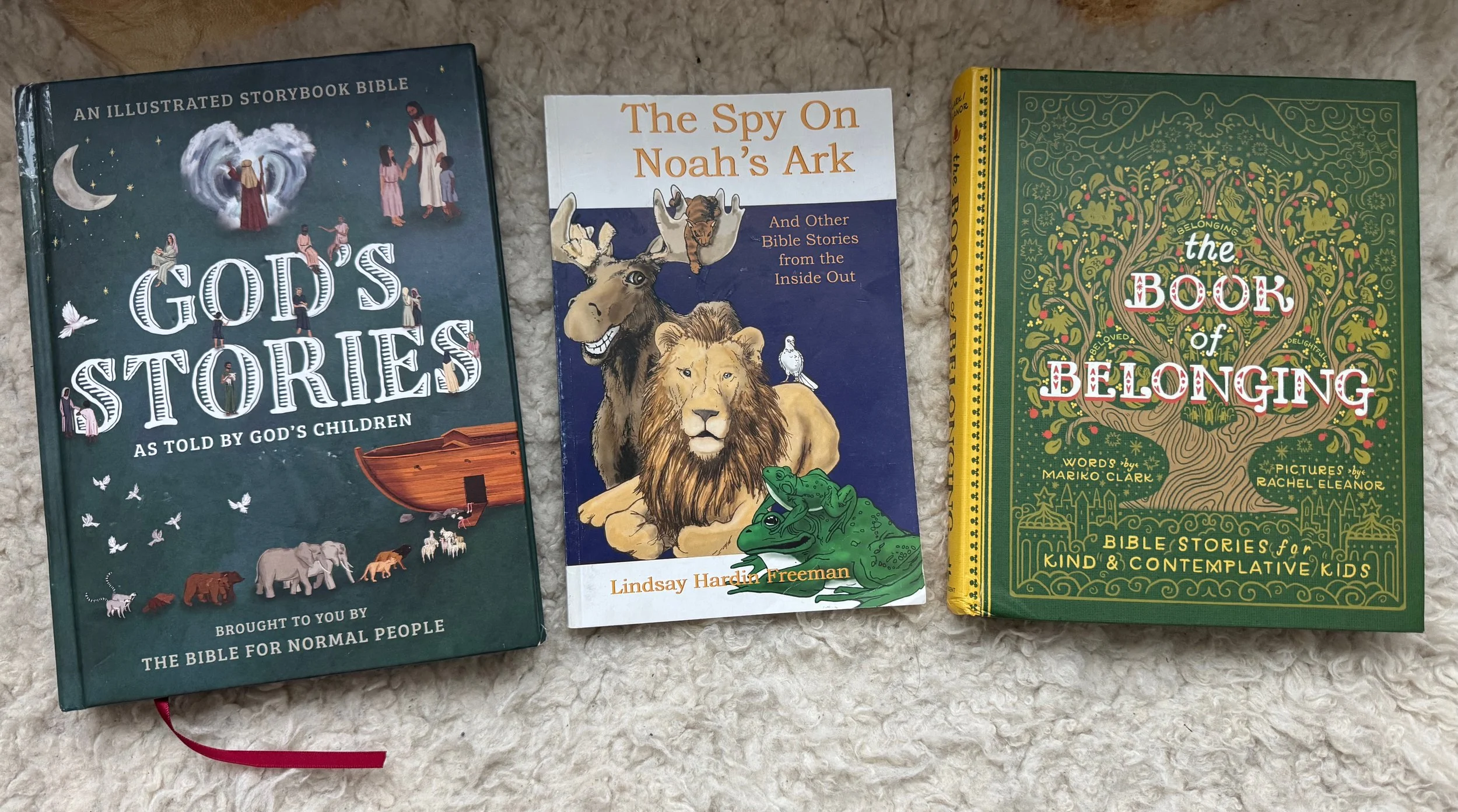 God's Stories, The Spy on Noah's Ark, and The Book of Belonging