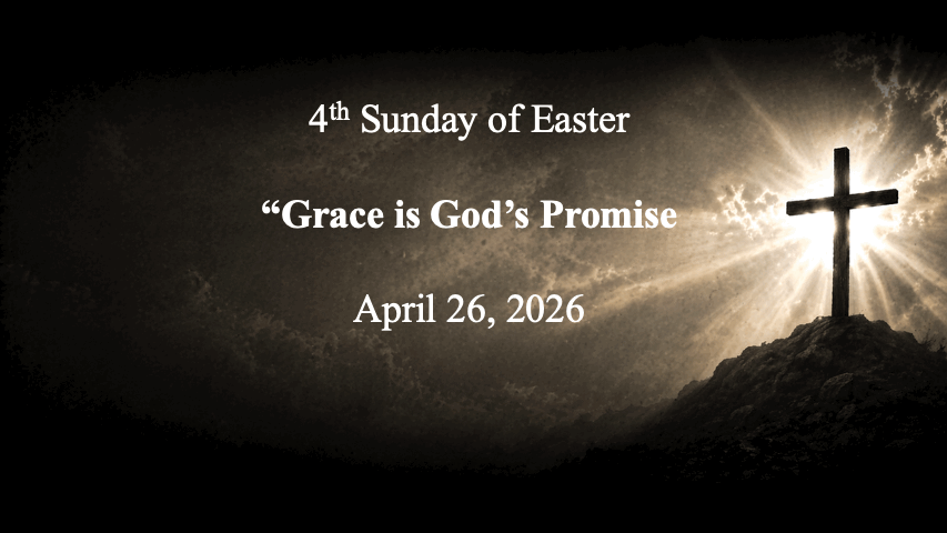 What's happening this week