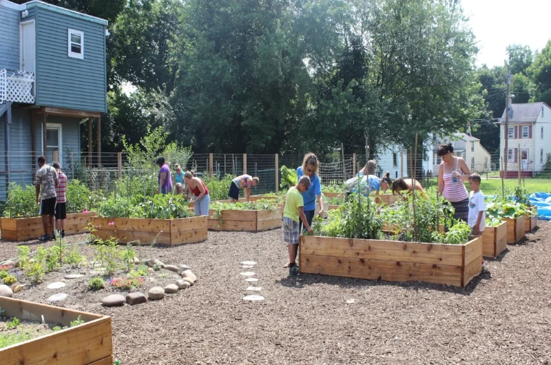 comm garden.jpg