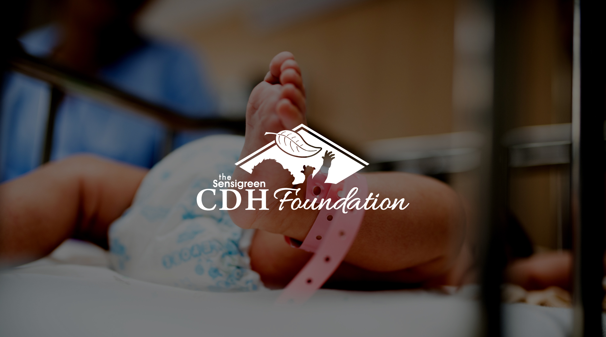   DELIVERABLES  Logo Development &amp; Design Fundraiser Branding Fundraiser Posters Digital &amp; Print Ads Raffle Ticket T-Shirt Design  + + + + +  Visit The Sensigreen CDH Foundation online at:  www.sensigreen.com/cdh-foundation/our-story  