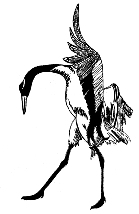 crane-drawing.png