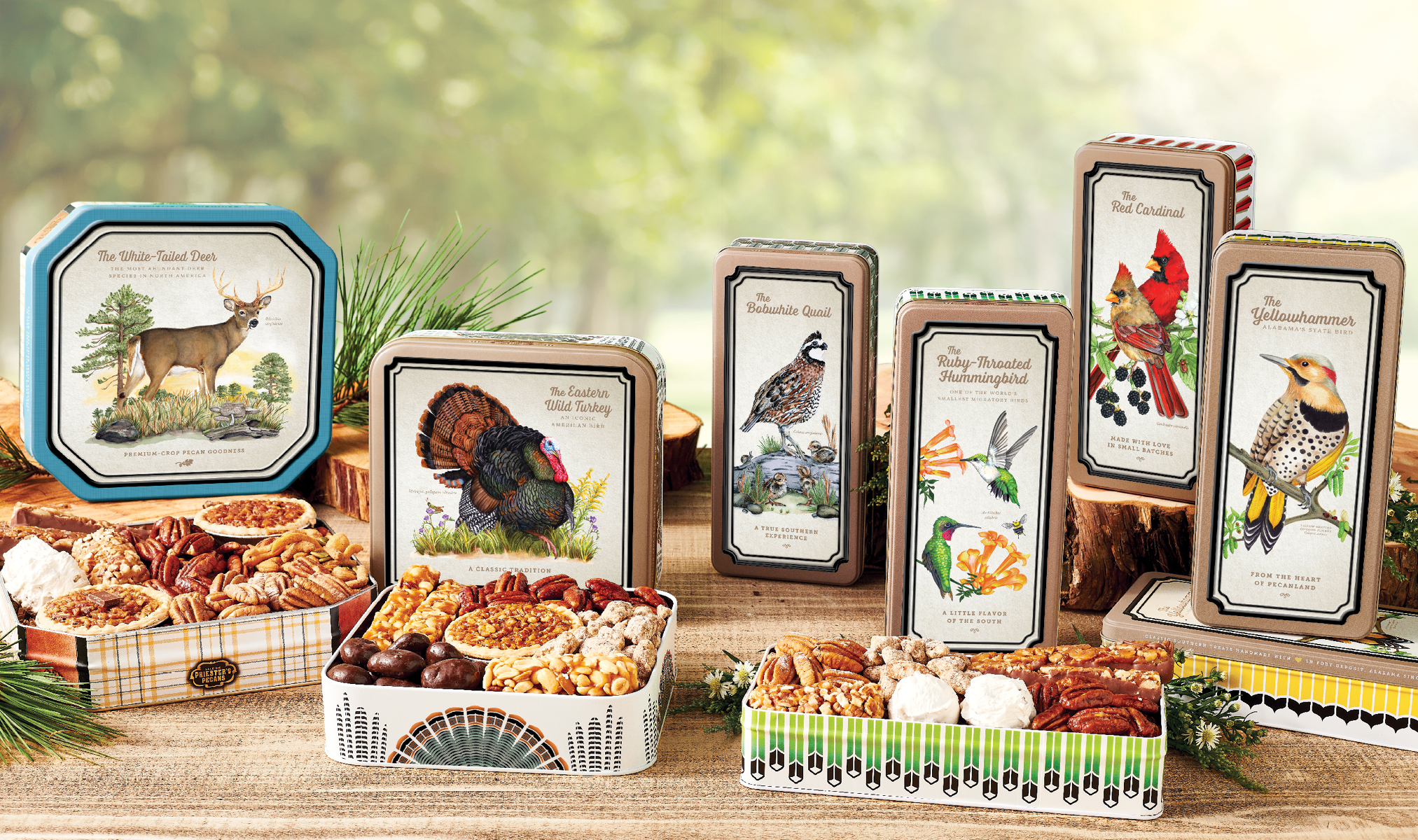 package design web shots14.png