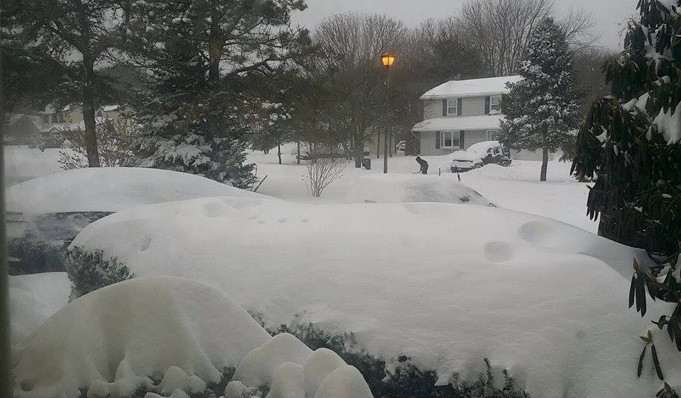 SAMSUNG PHONE PICS 895.jpeg