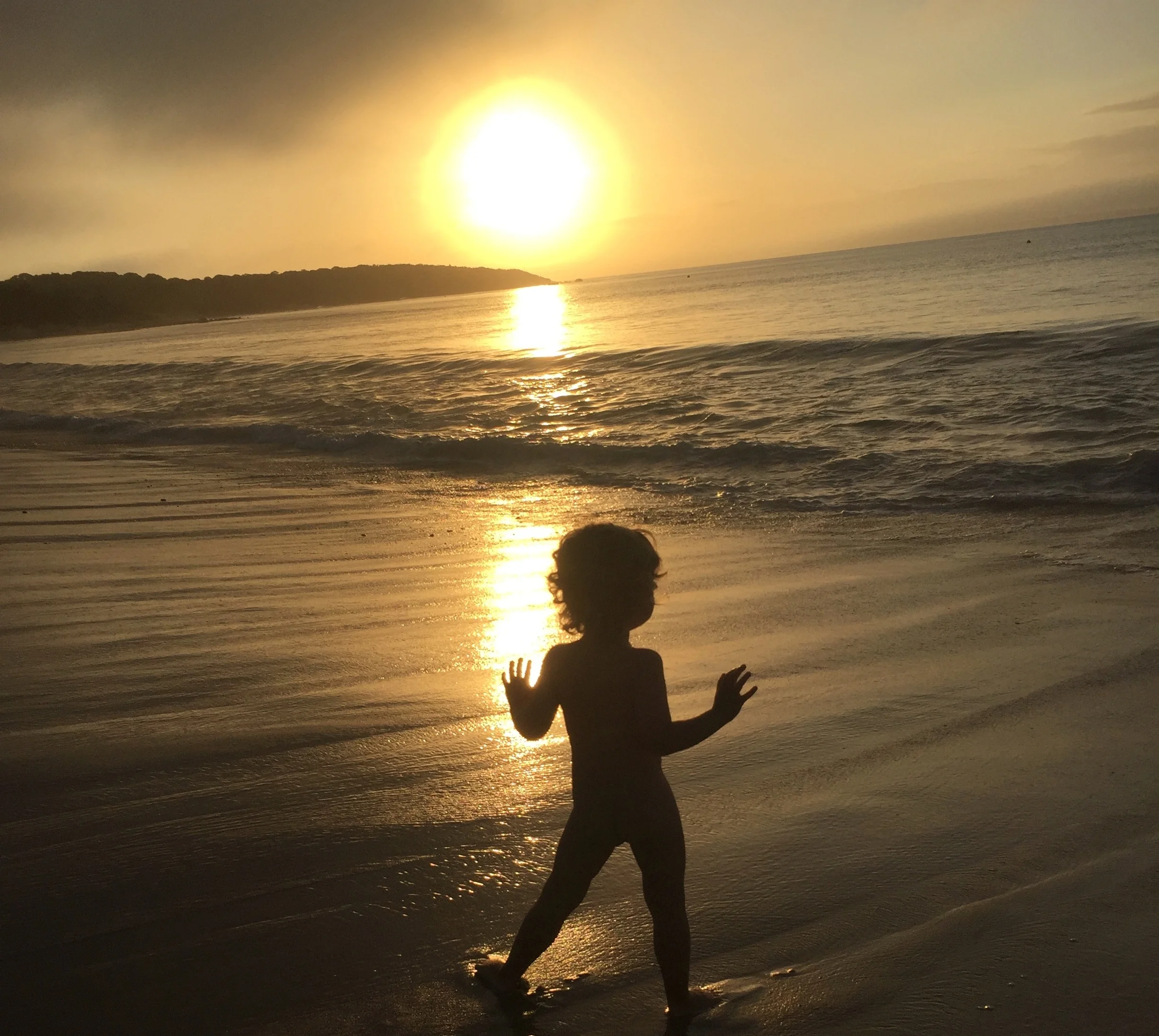 shining alex (1).jpg